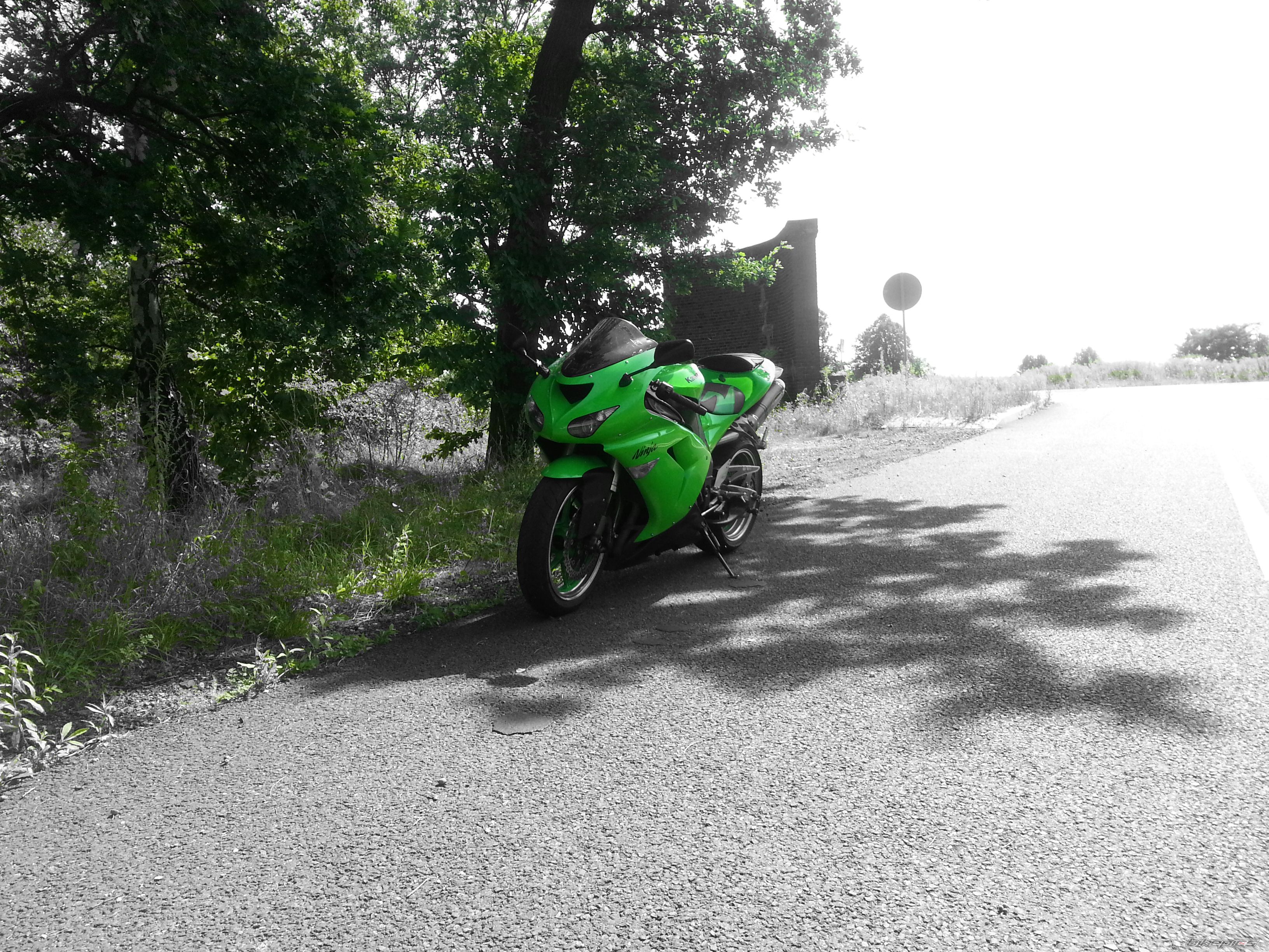 Photo 2444880