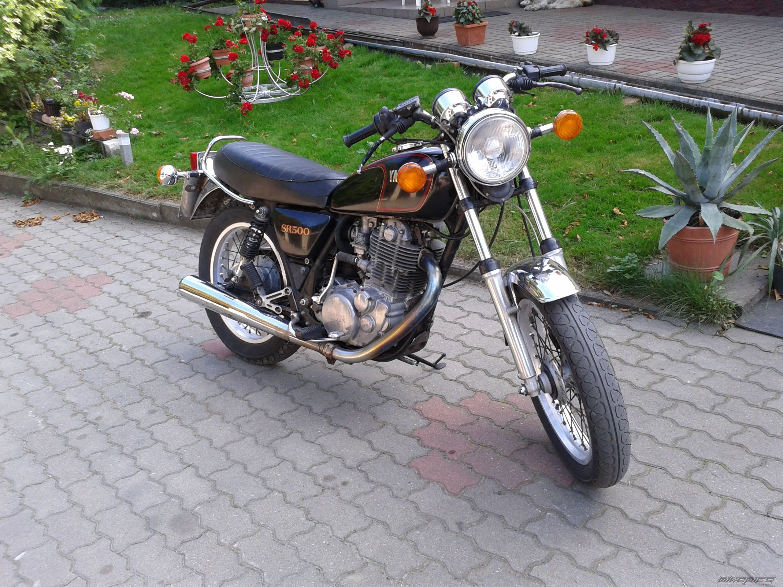 Photo 2444881