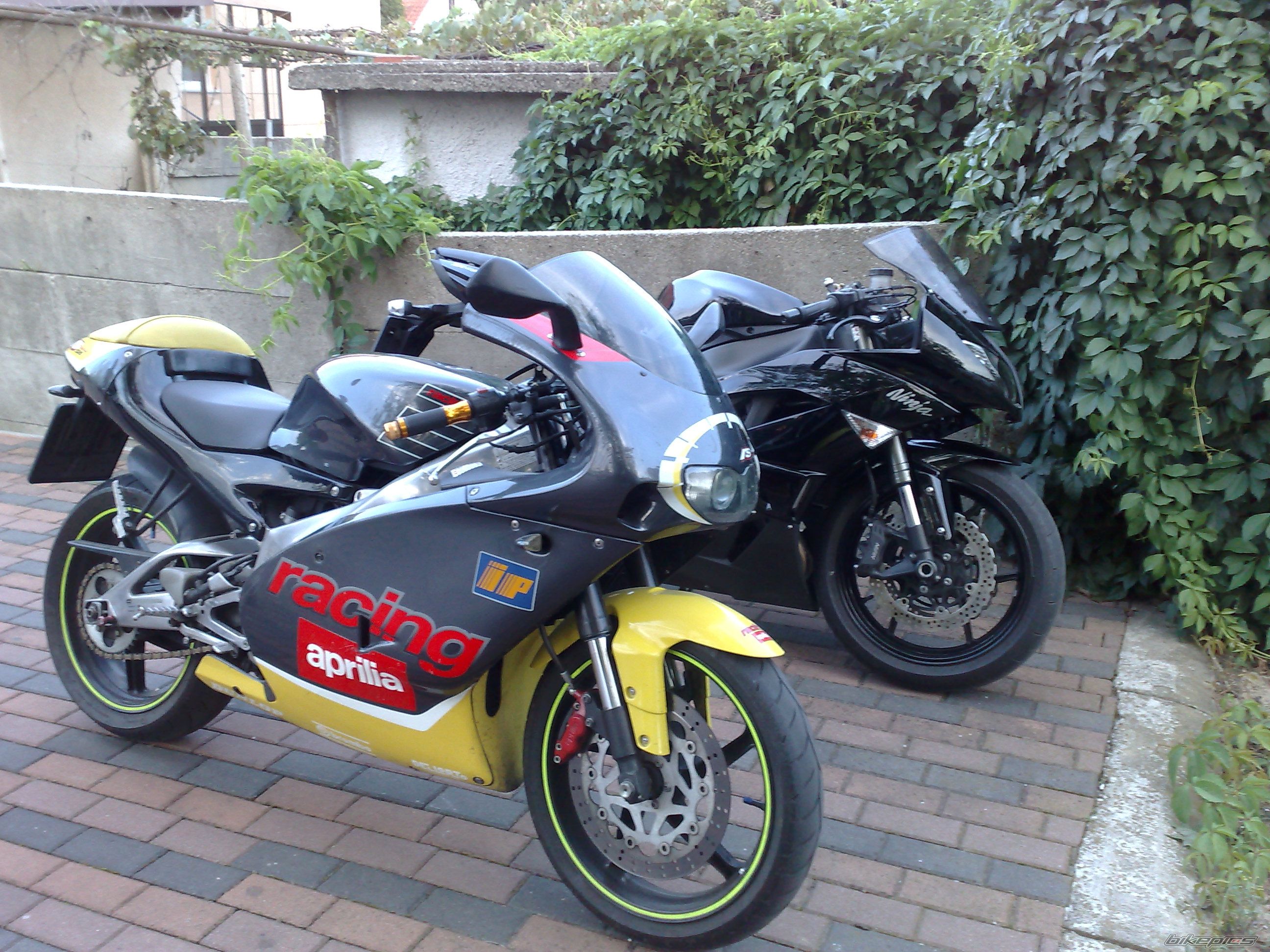 Photo 2444887