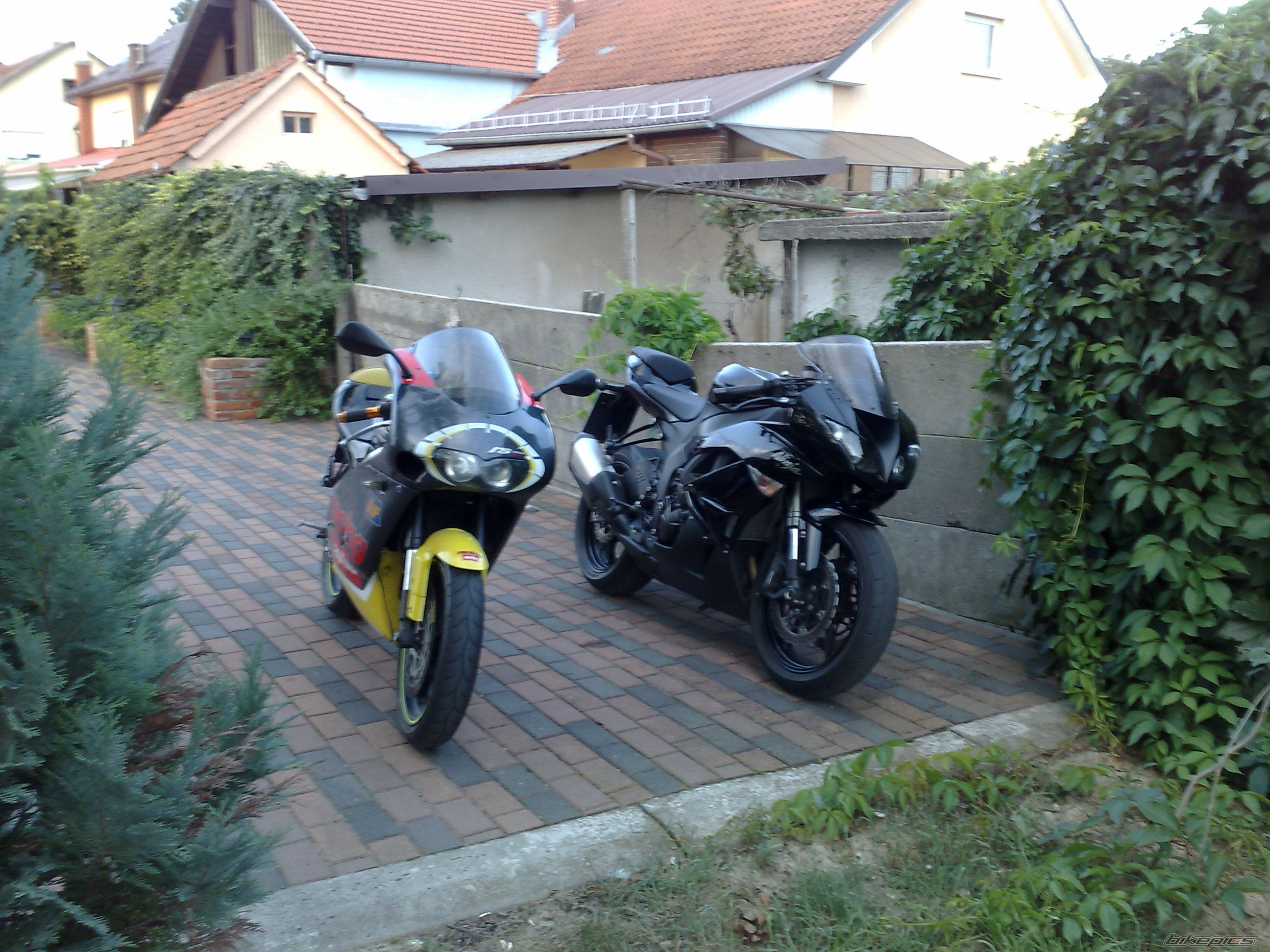 Photo 2444888