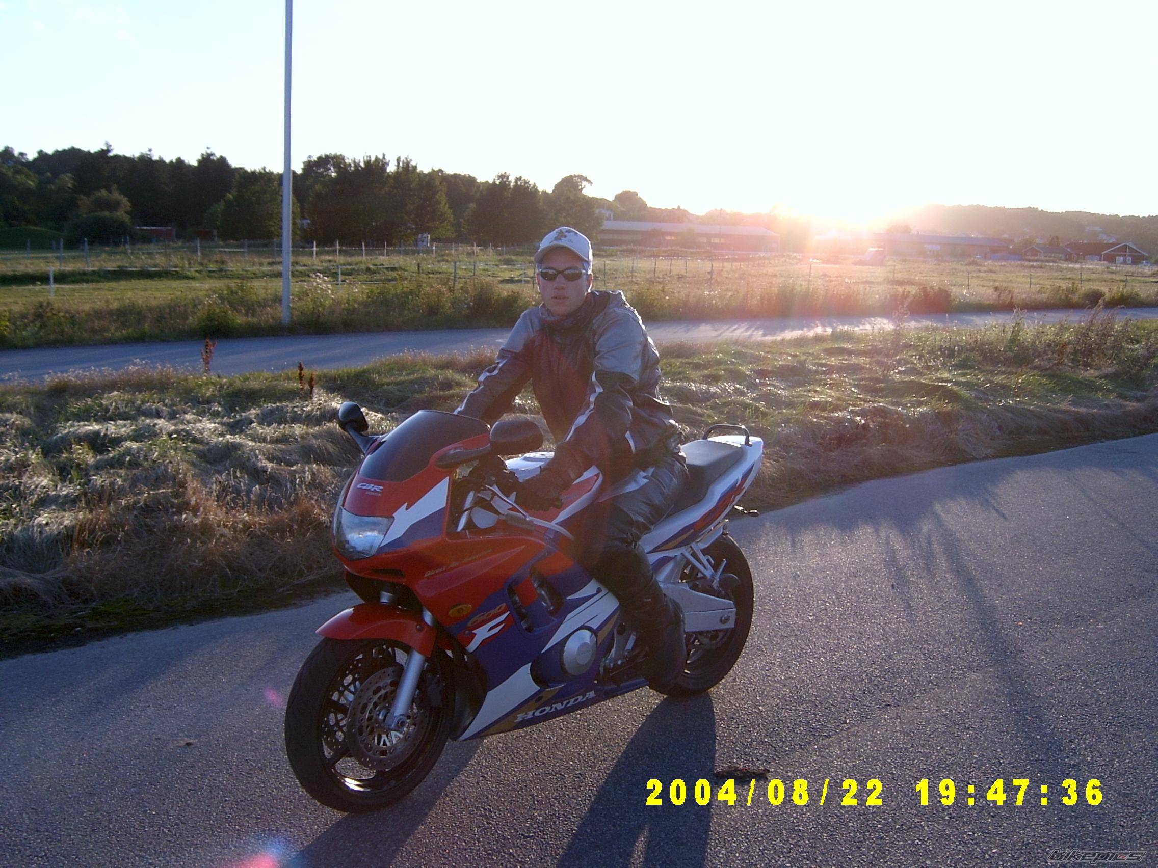 Photo 244495