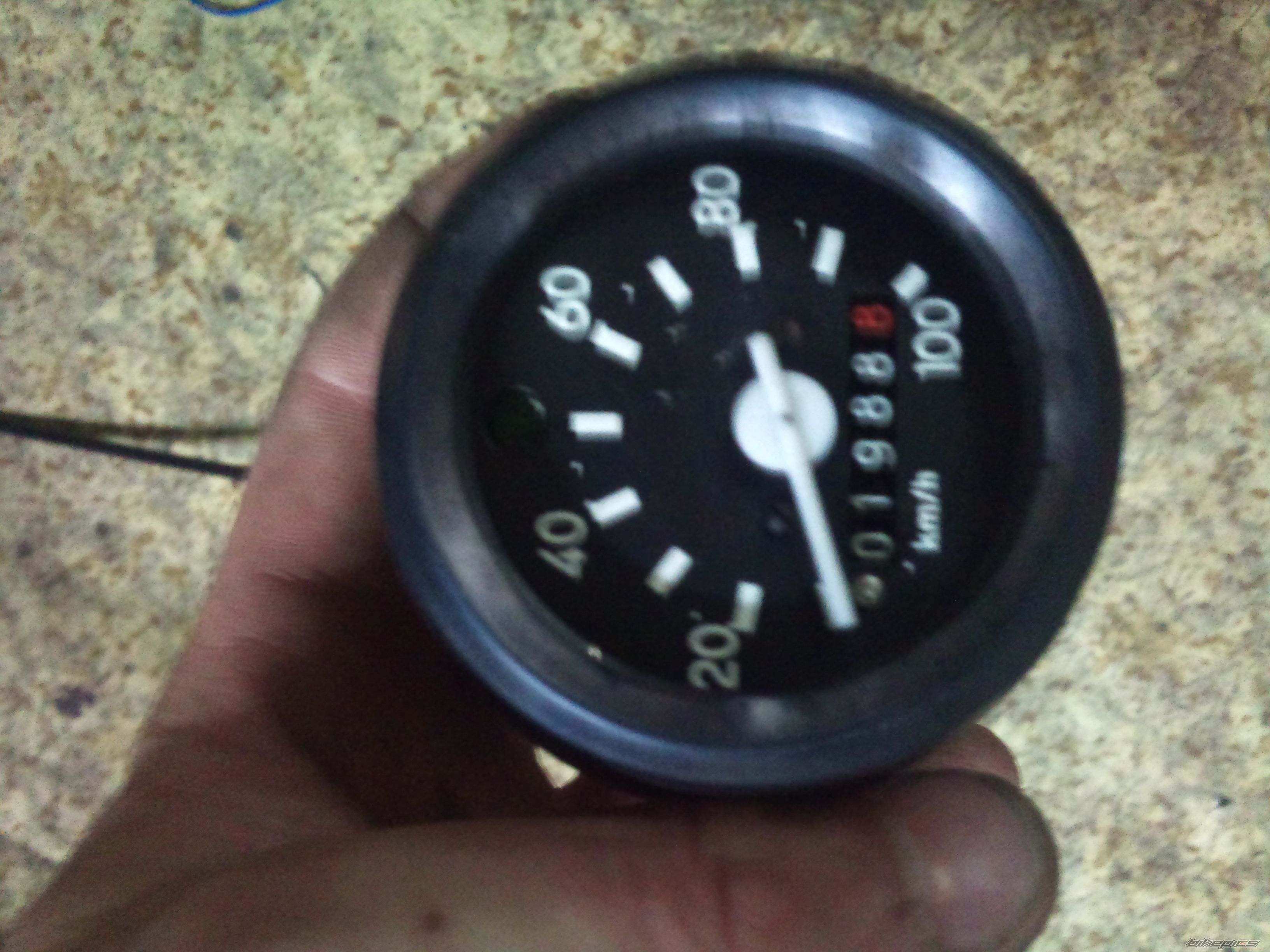 Photo 2445115