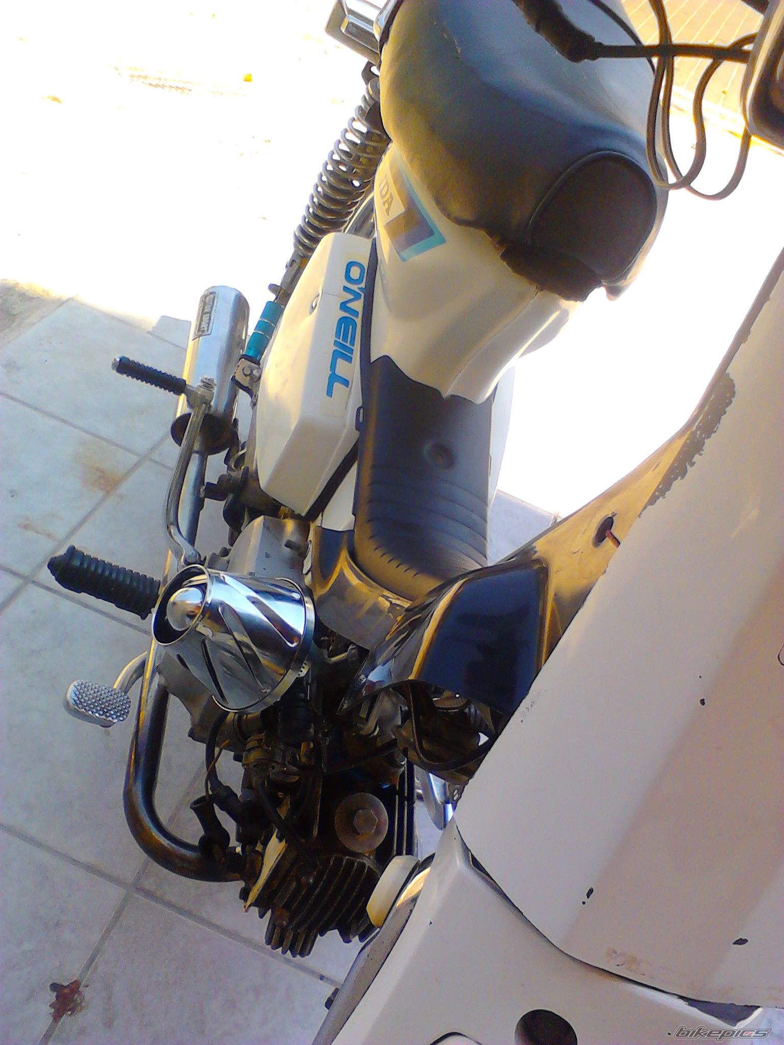 Photo 2445143