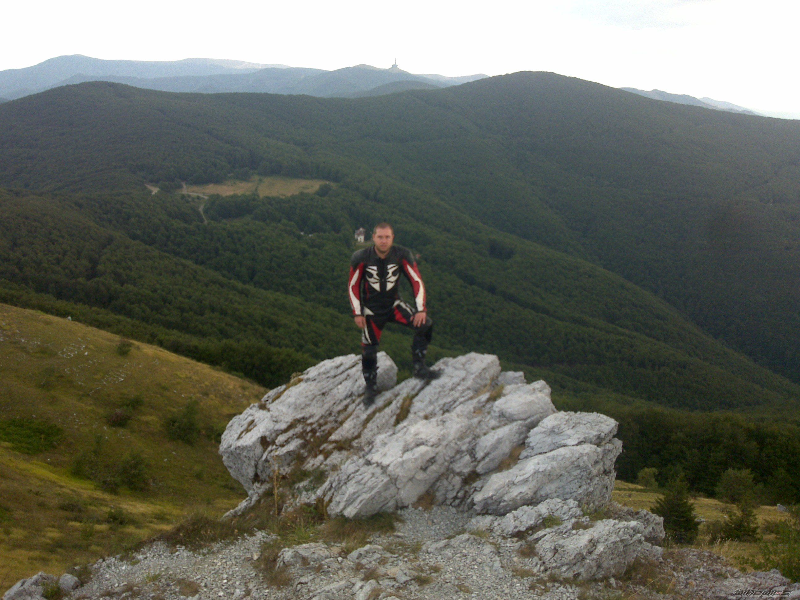 Photo 2445159