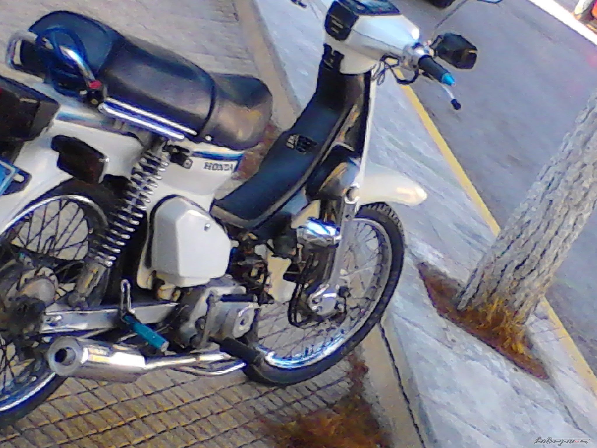 Photo 2445168