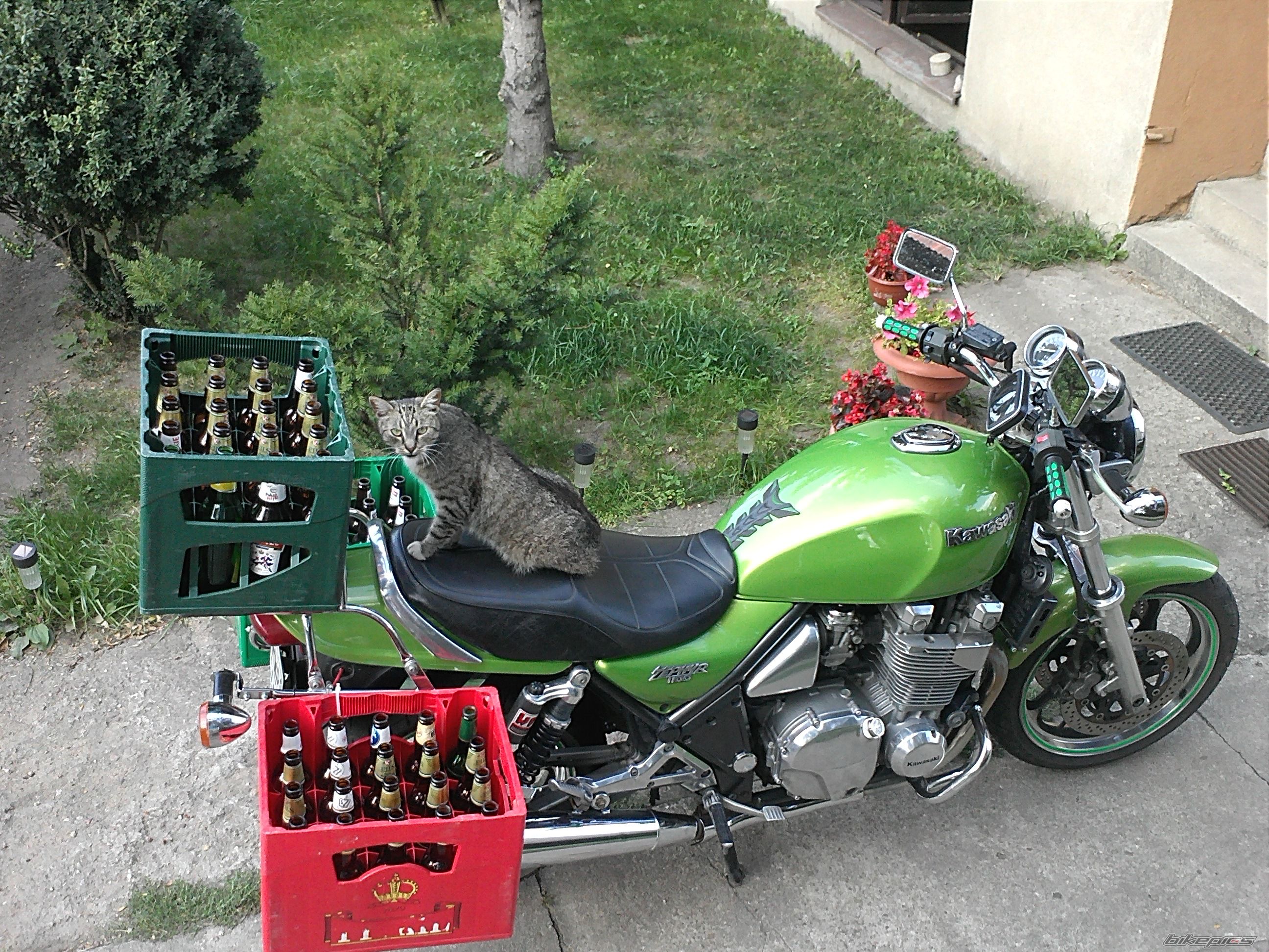 Photo 2445199