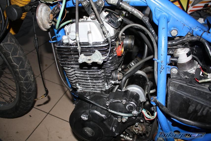 Photo 2445233