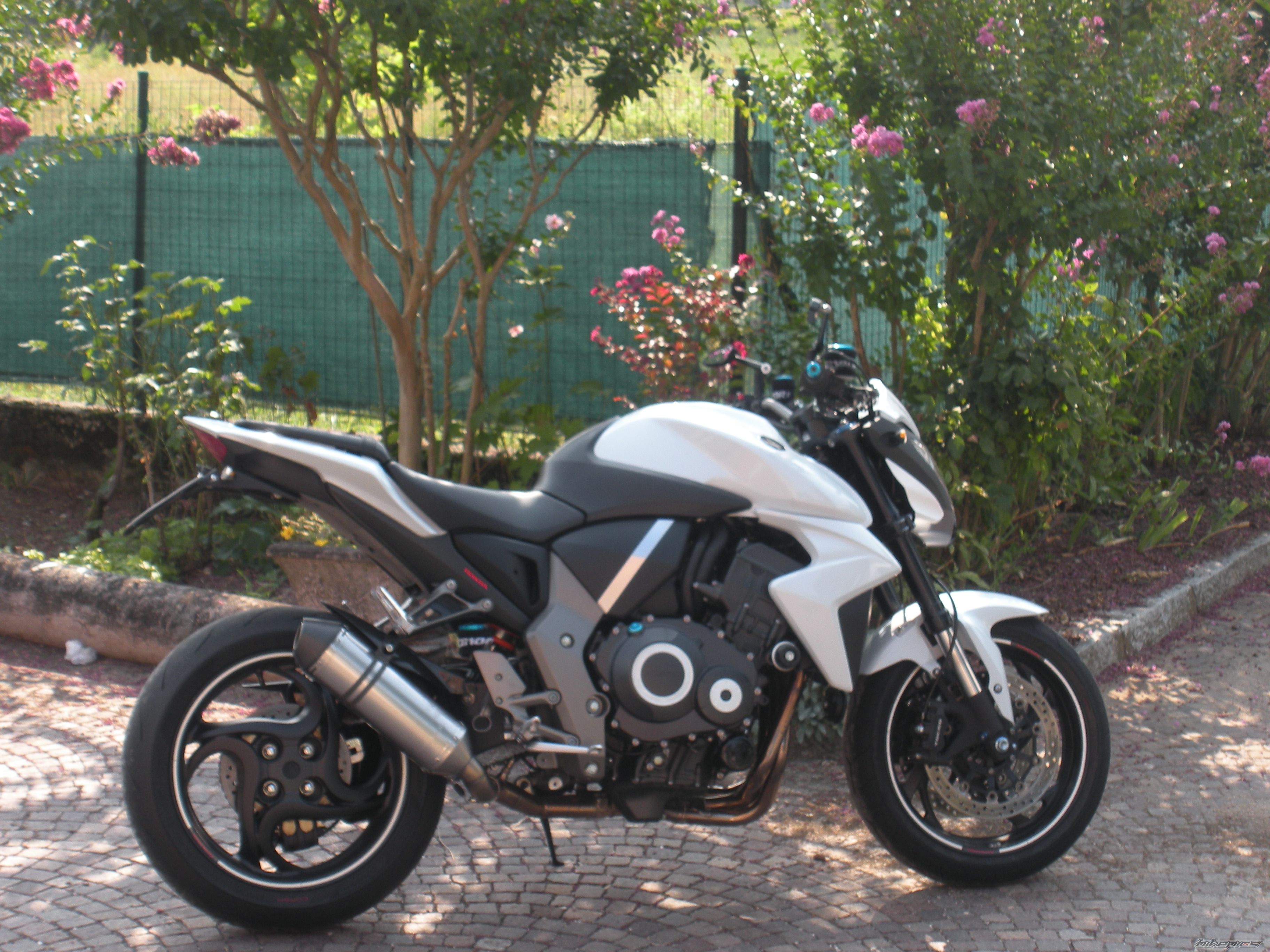Photo 2445242