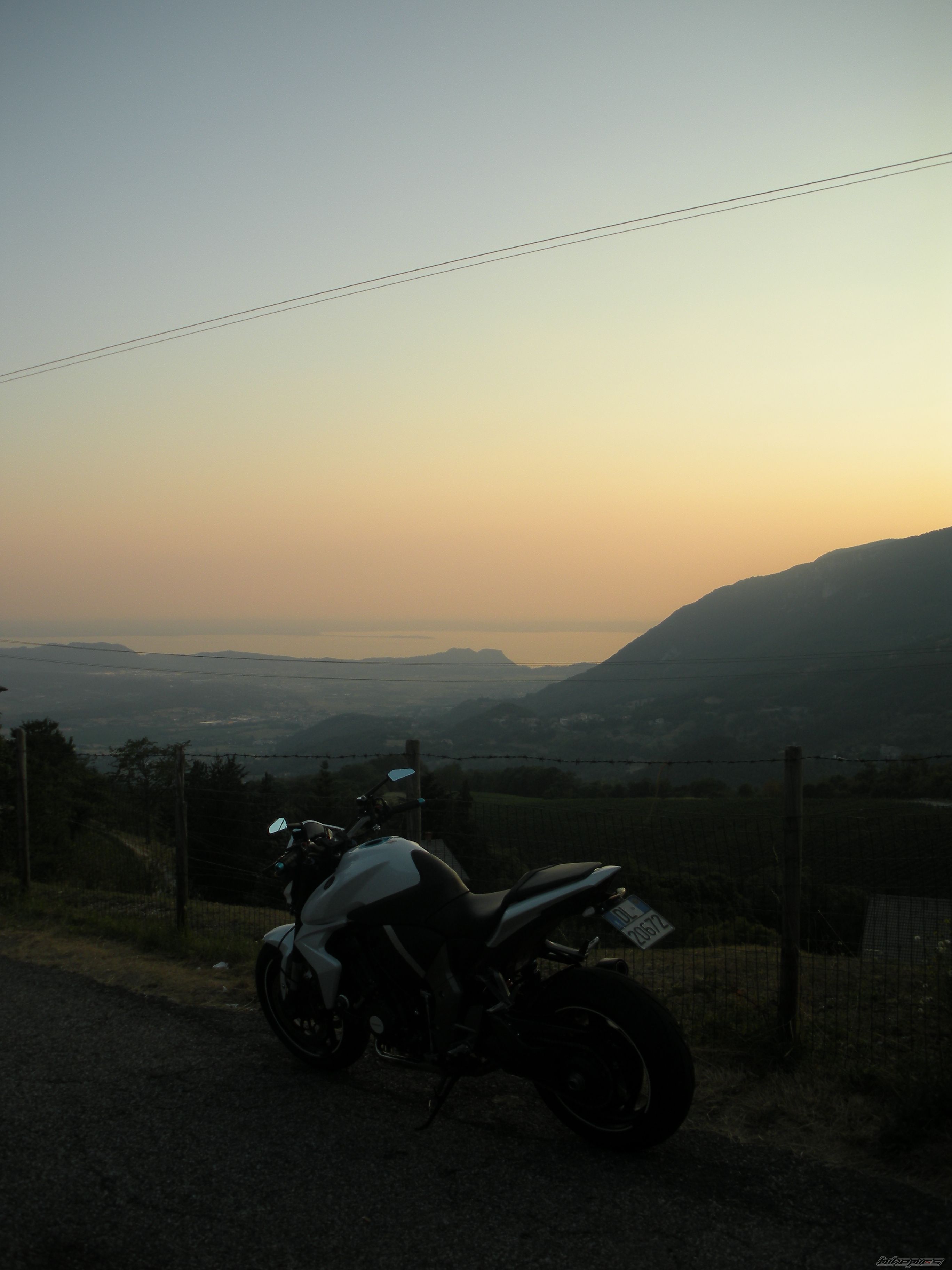 Photo 2445251