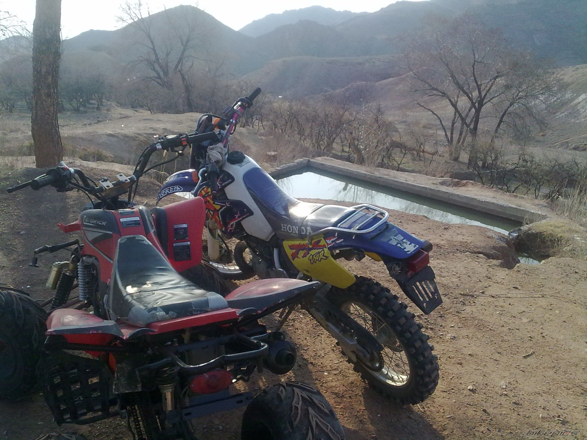 Bike Photo 2445341