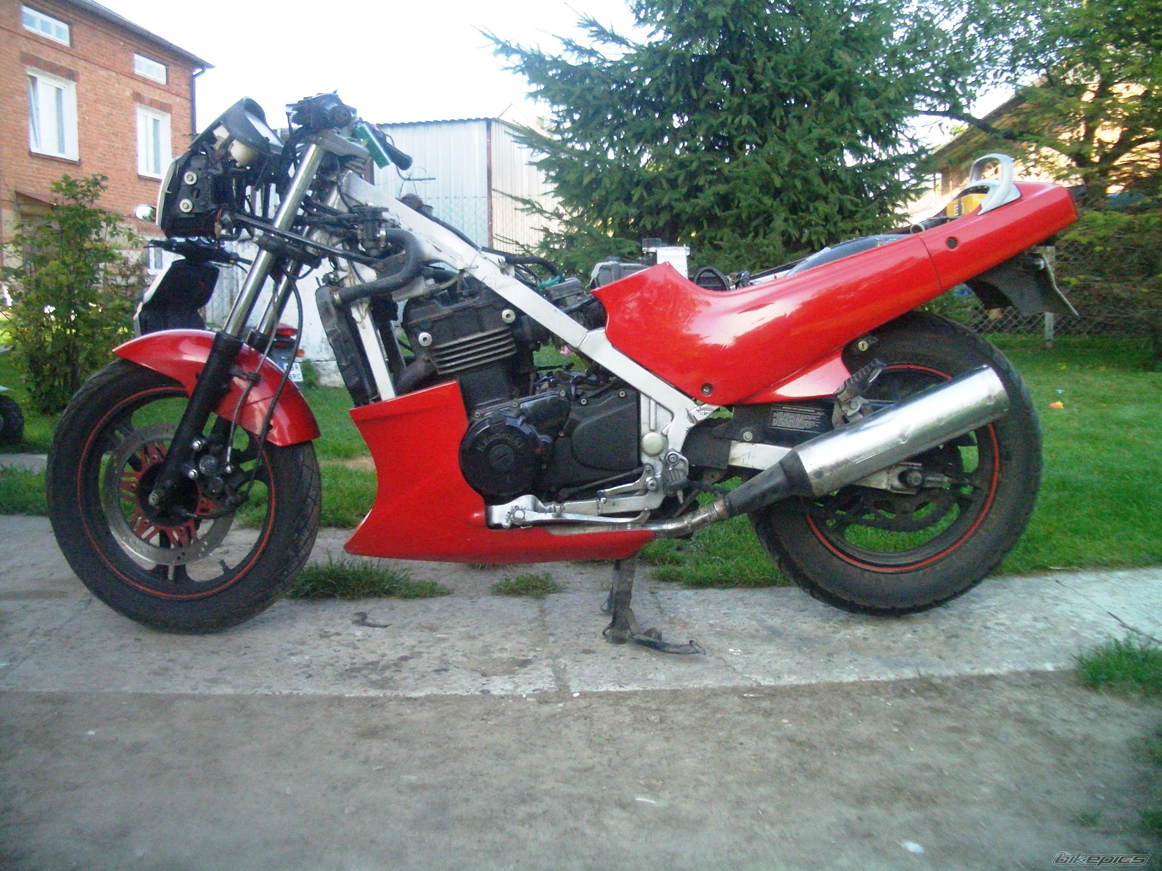 Photo 2445409
