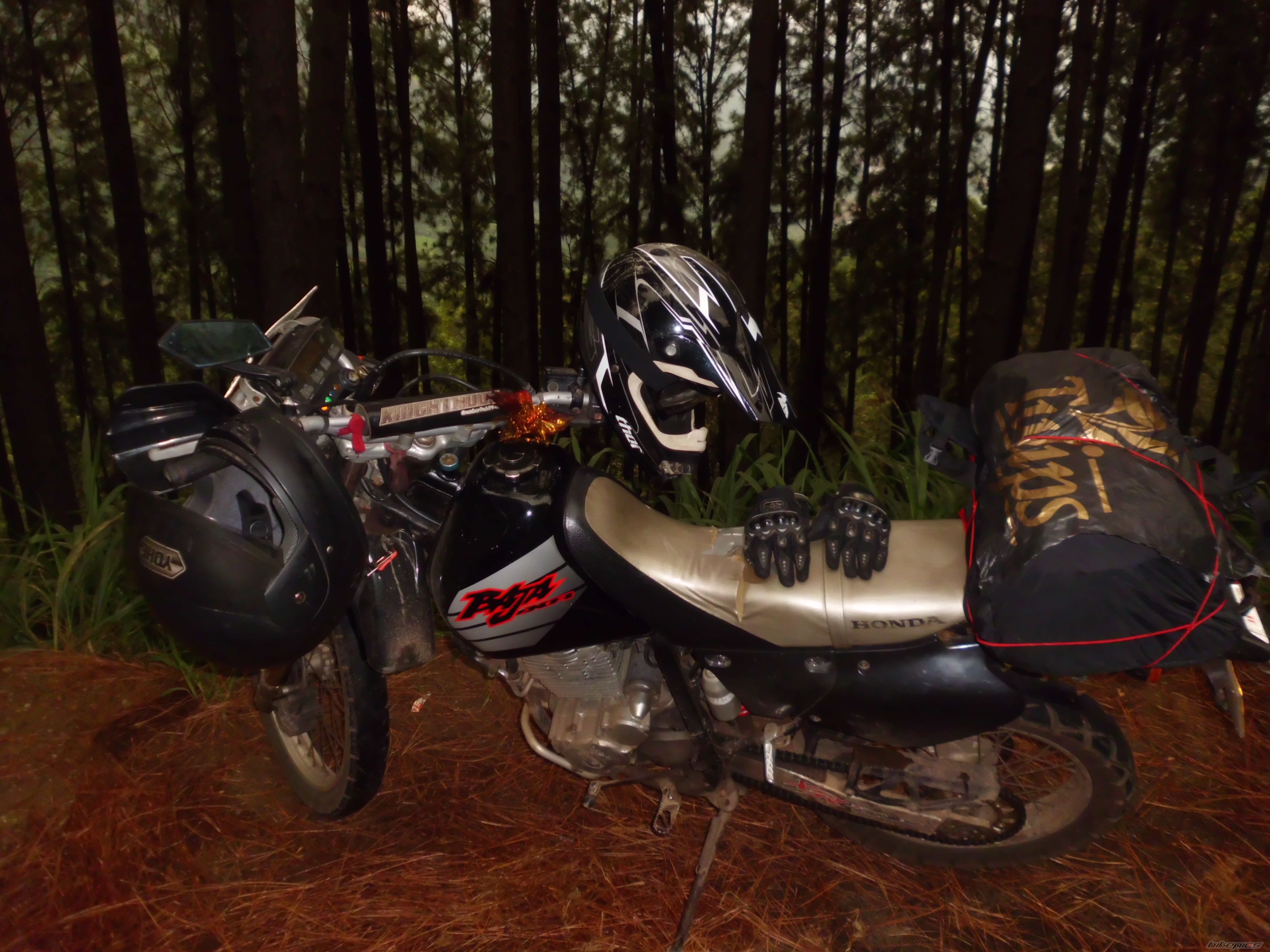 Bike Photo 2445423