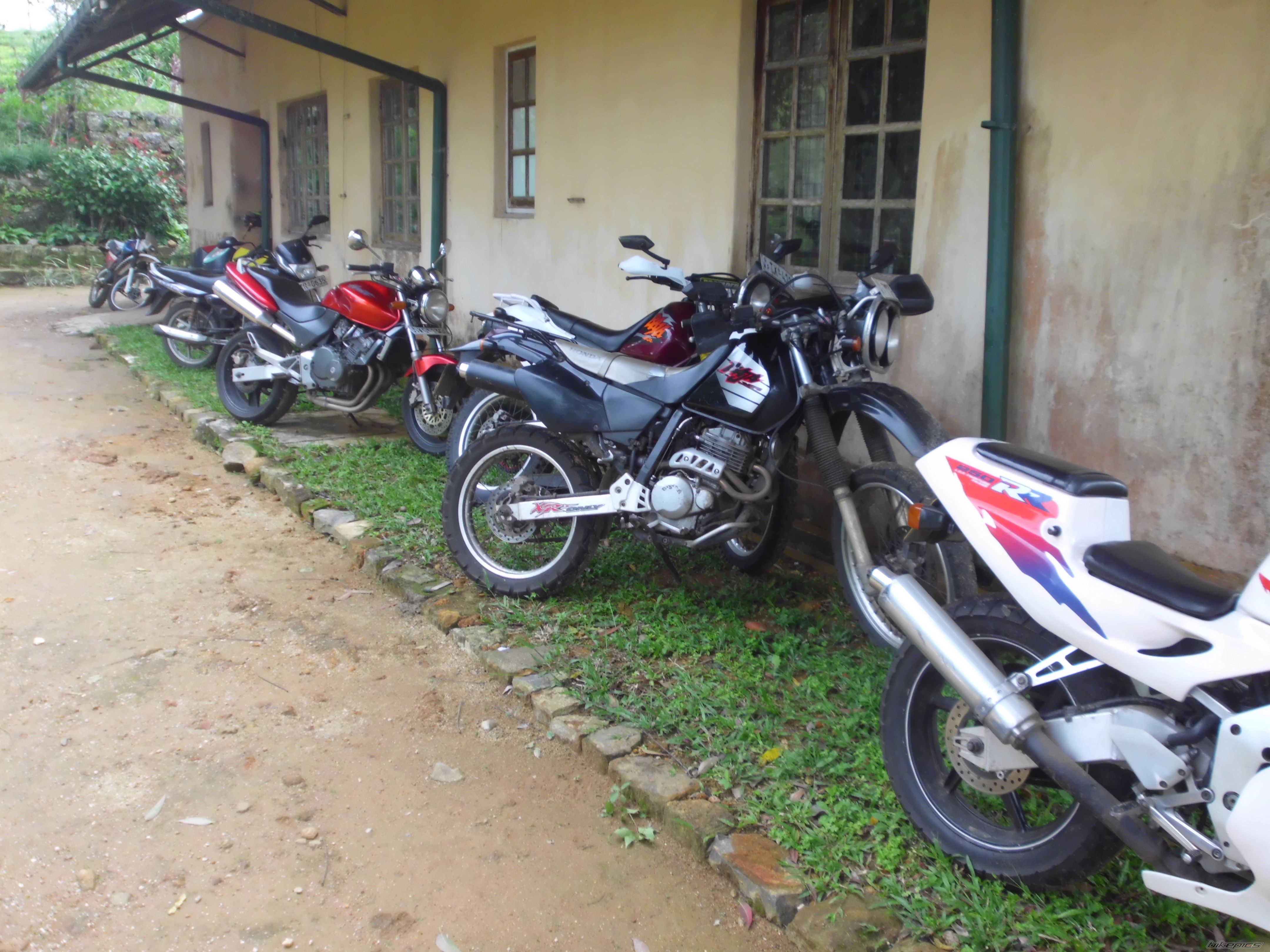 Bike Photo 2445427