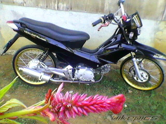 Photo 2445484
