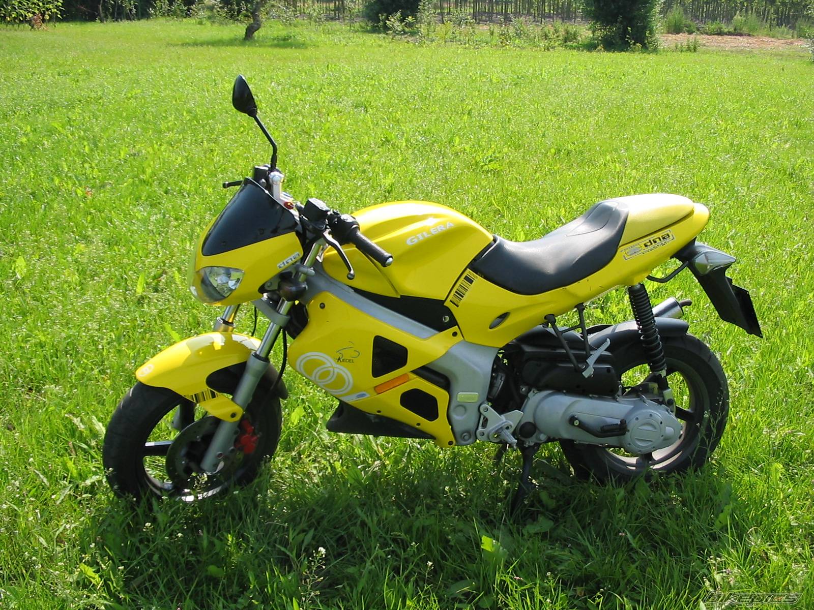 Photo 244551