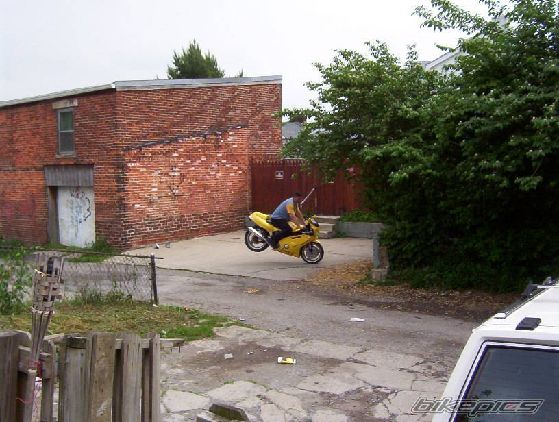 Photo 244557