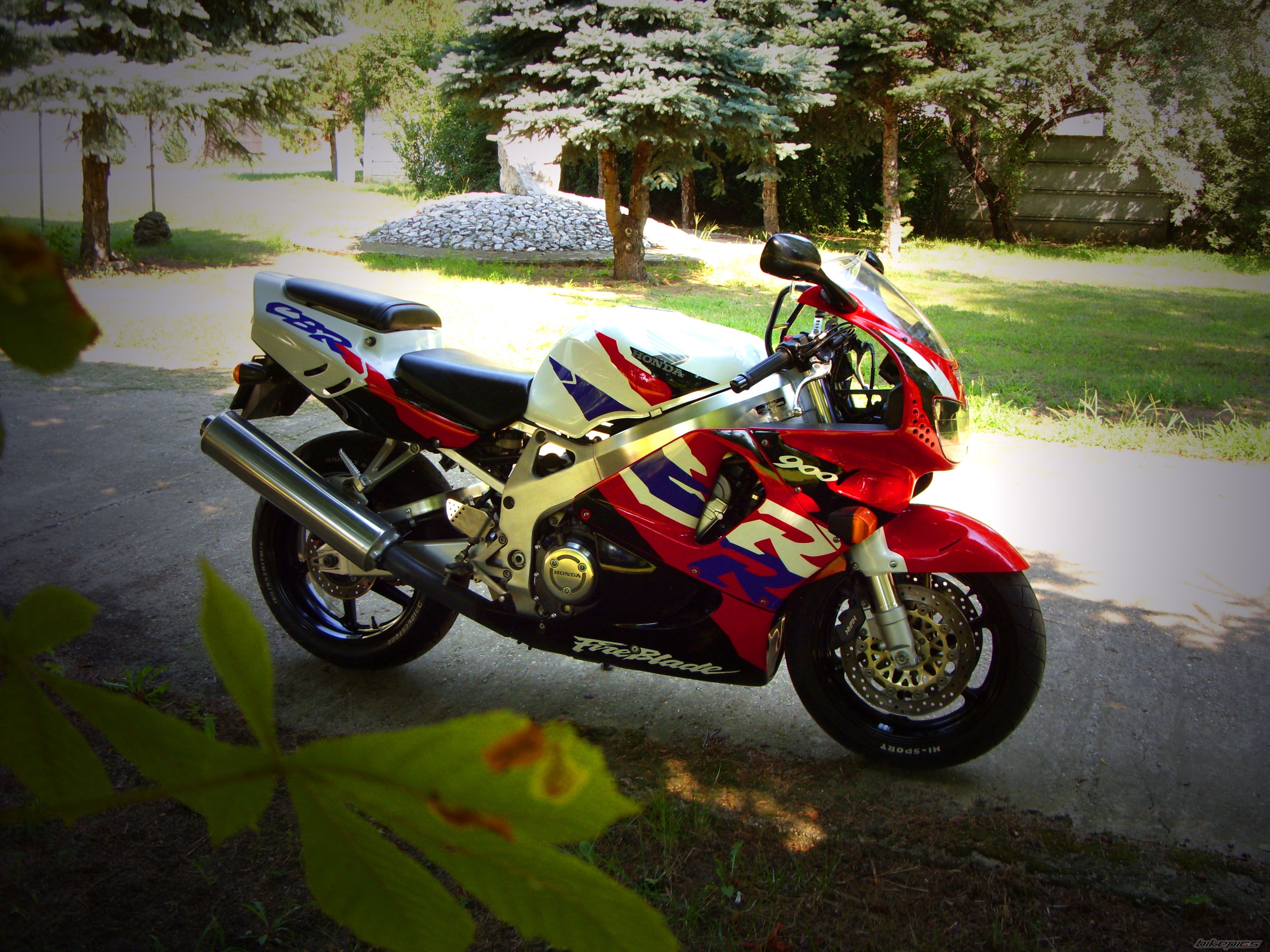 Photo 2445697