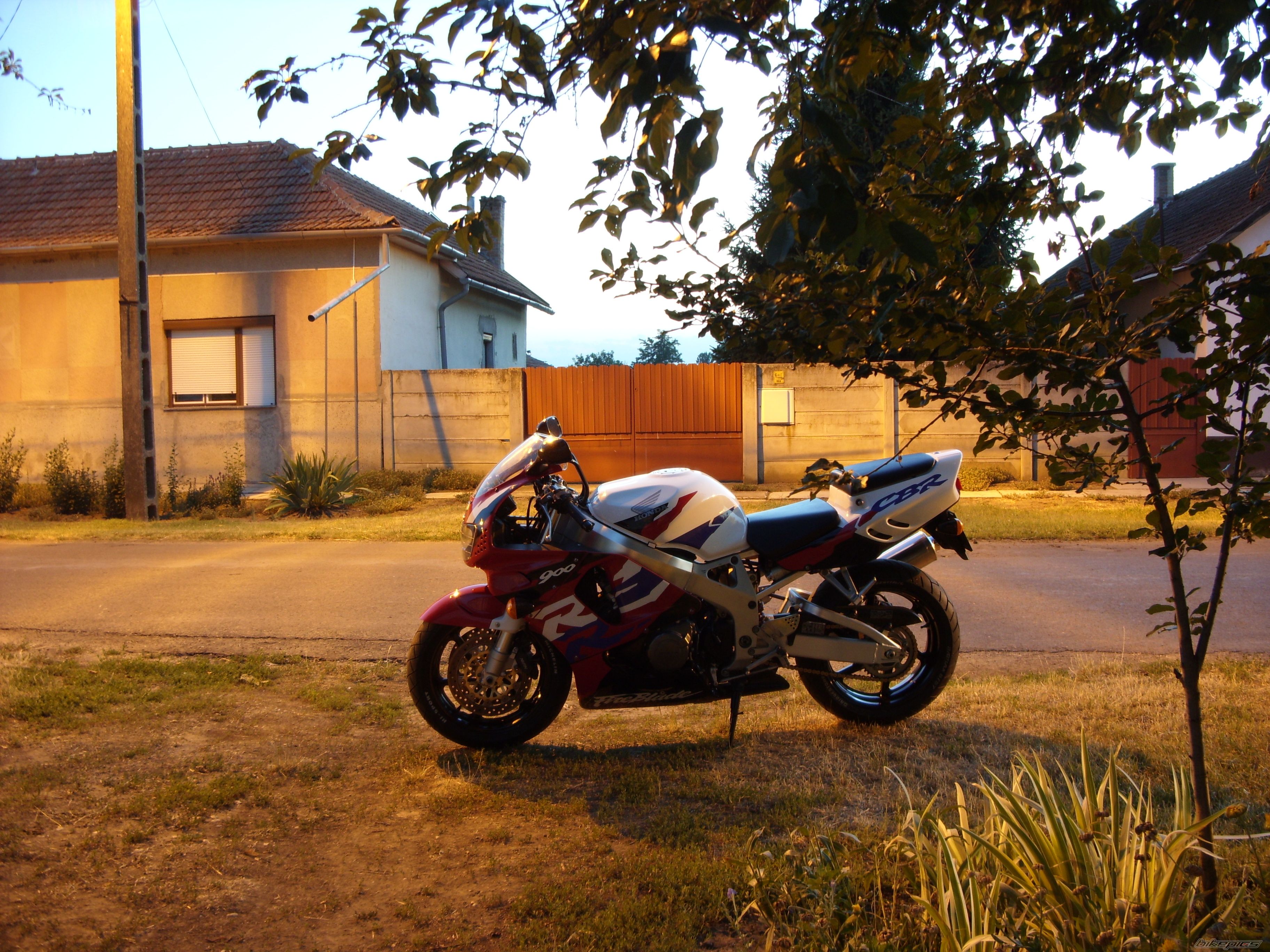 Photo 2445713