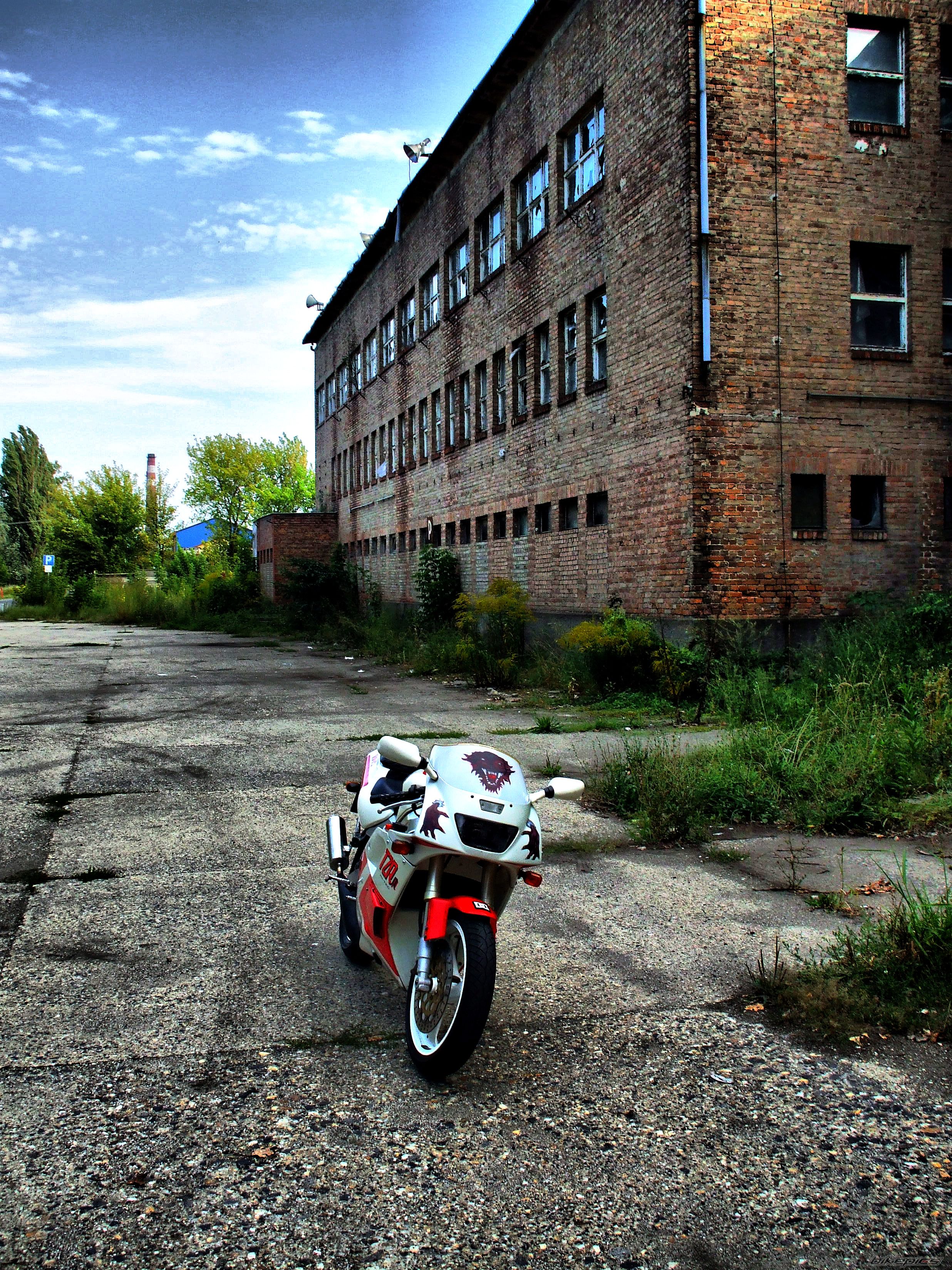 Photo 2445715