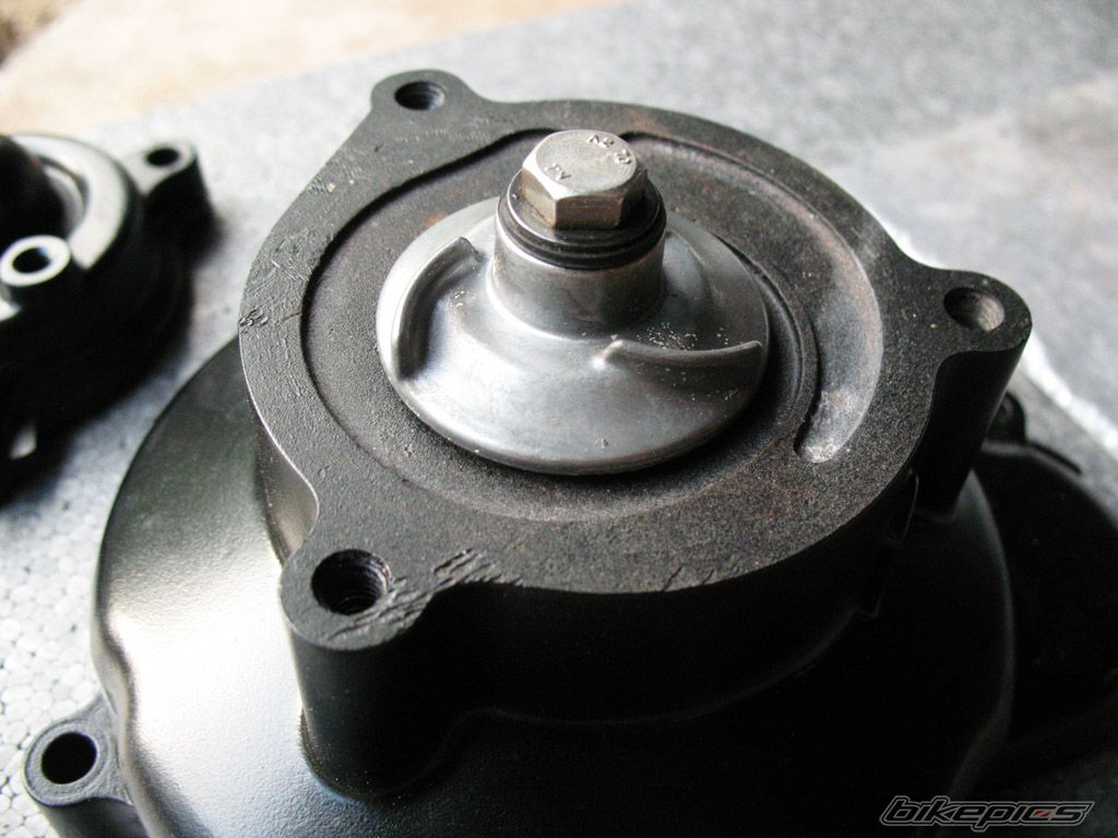 Photo 2445748
