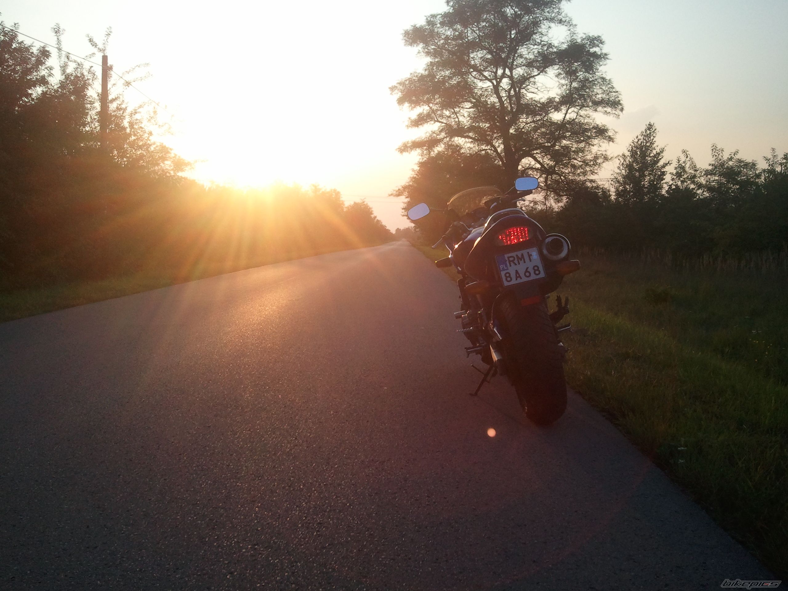 Photo 2445773