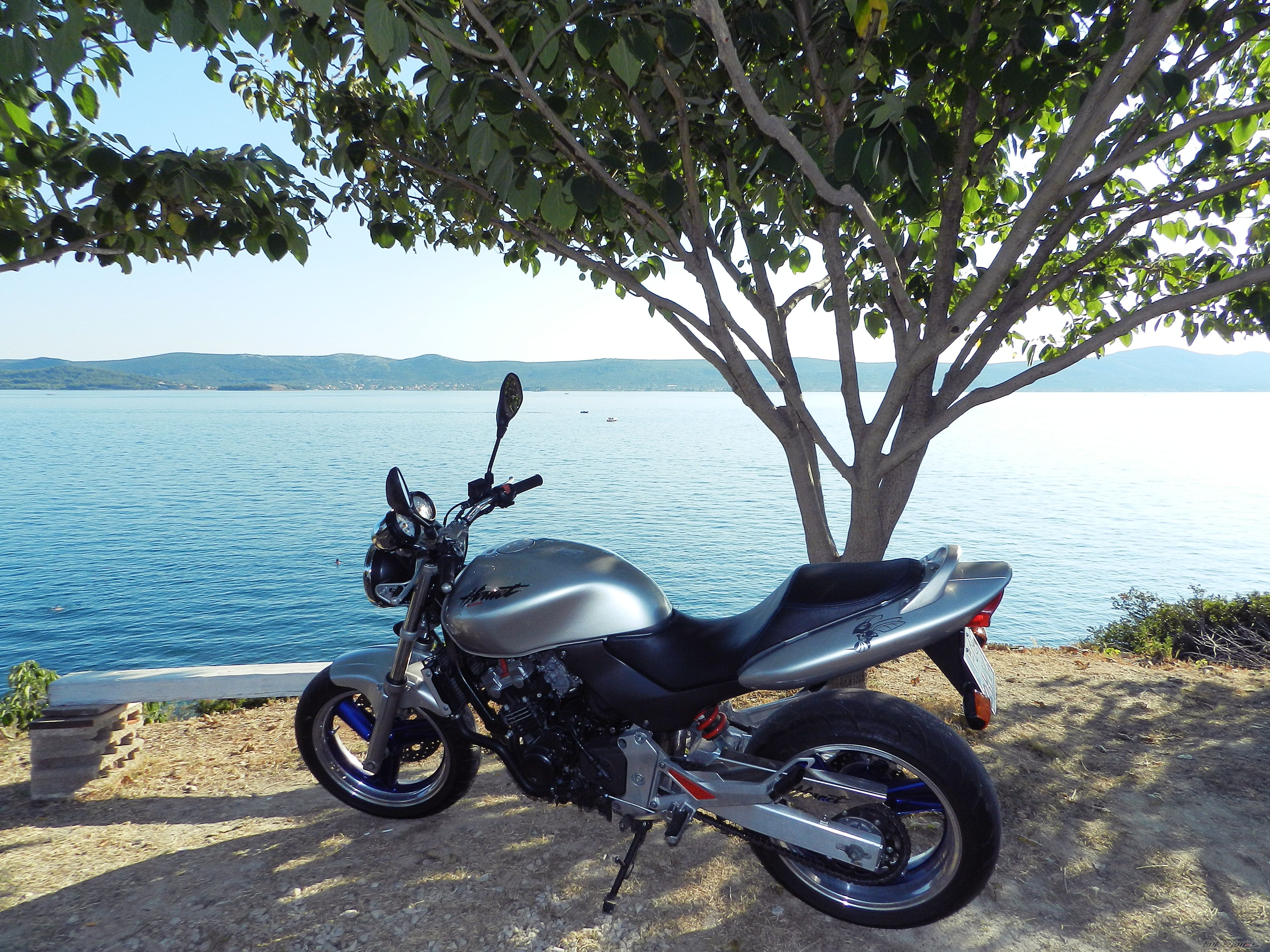 Bike Photo 2445811