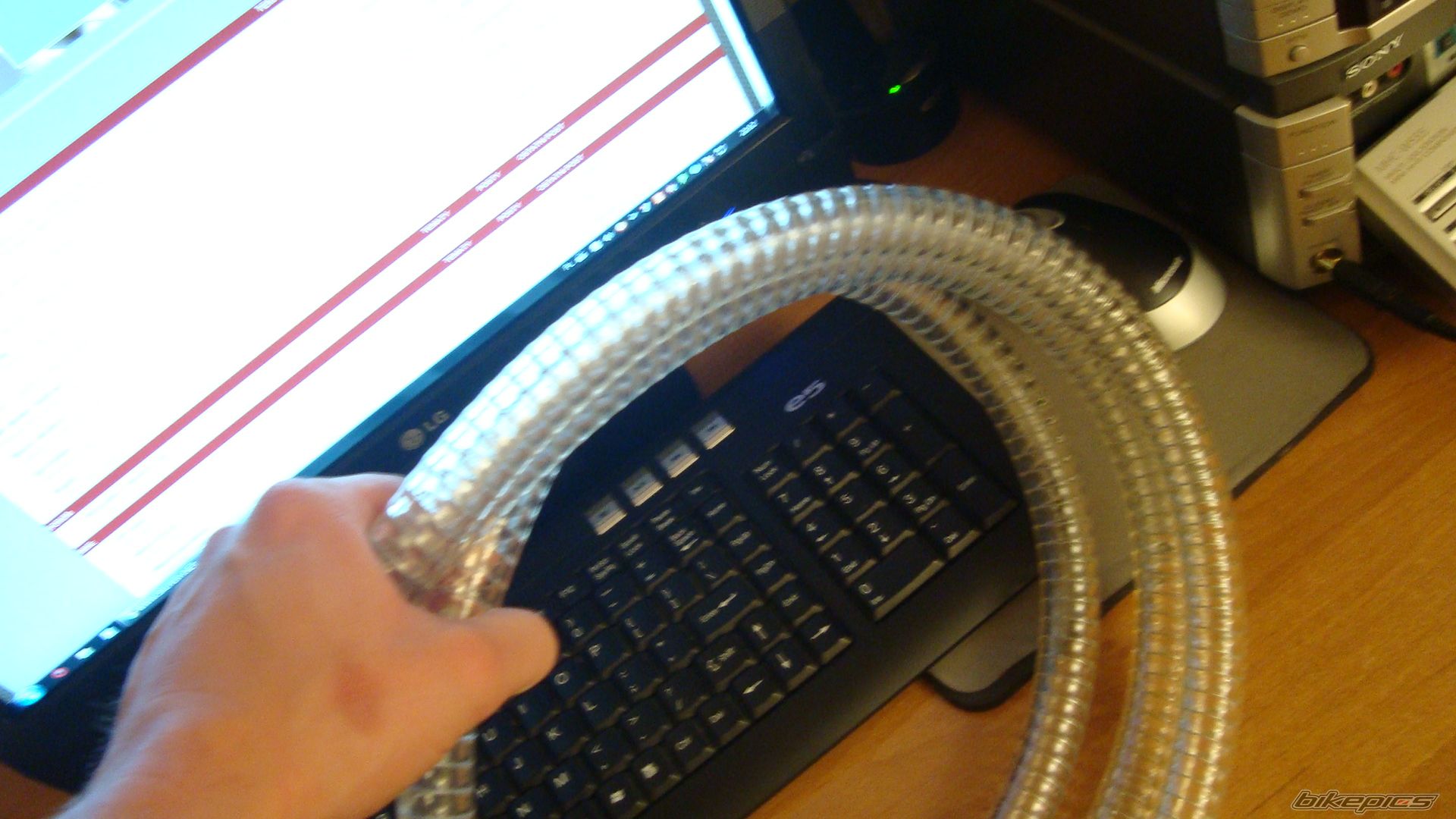 Photo 2445840