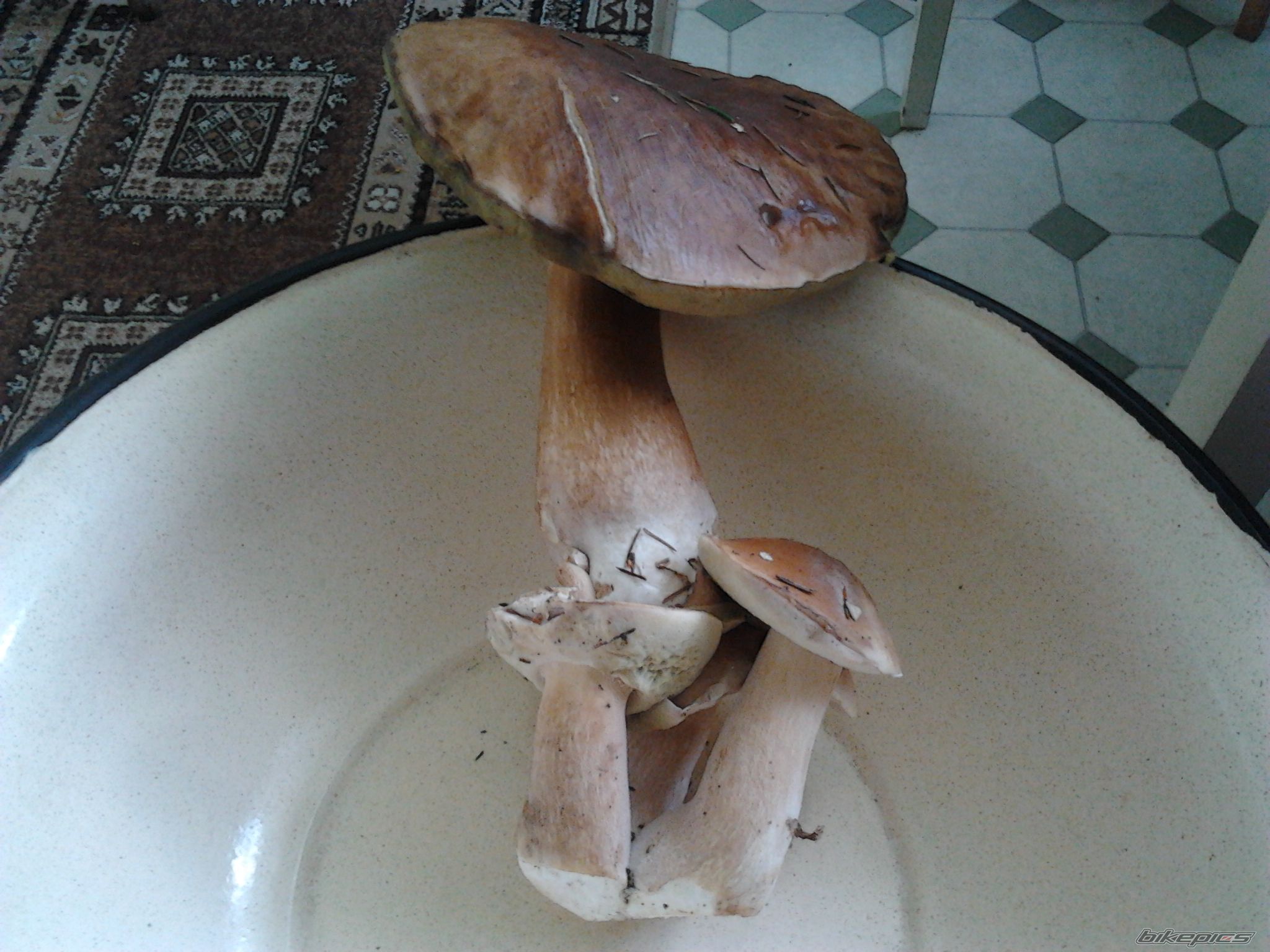 Photo 2445847