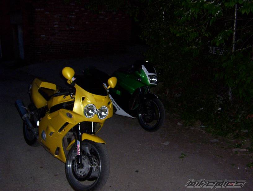 Photo 244585