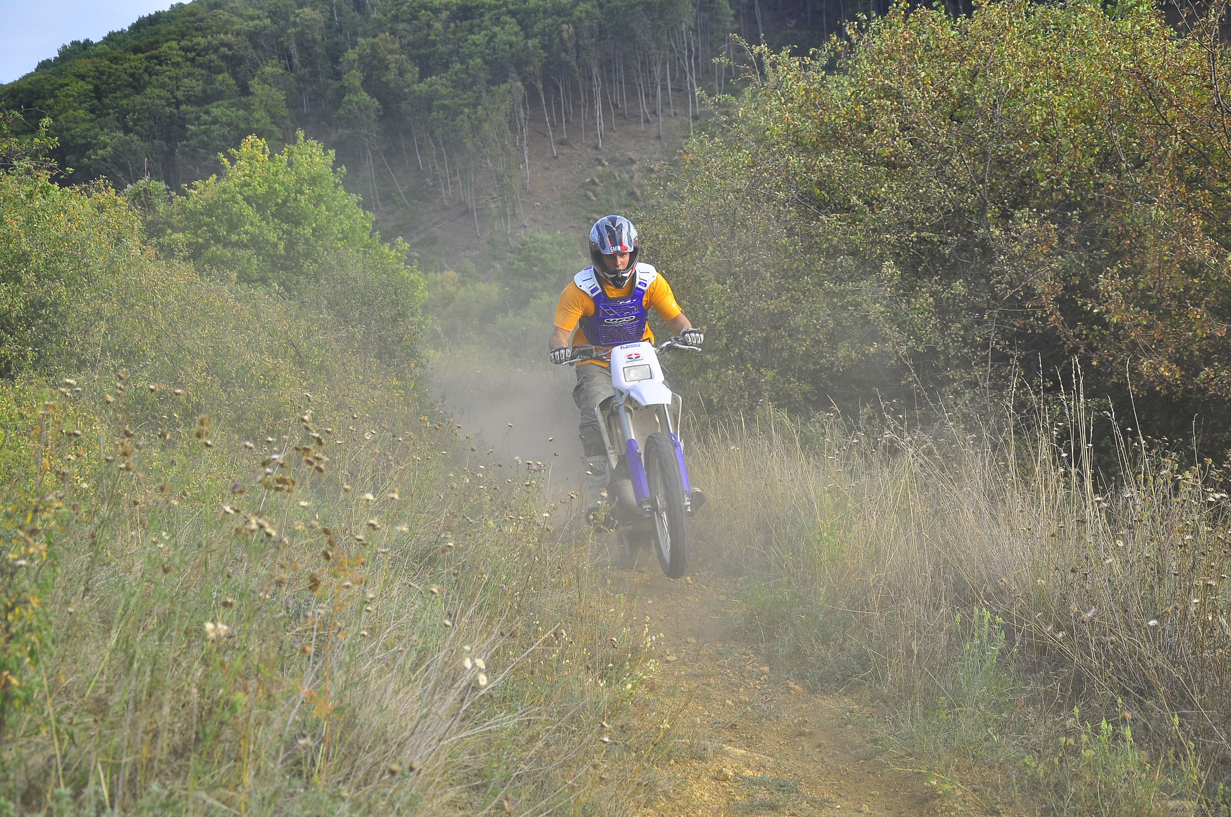 Photo 2445990