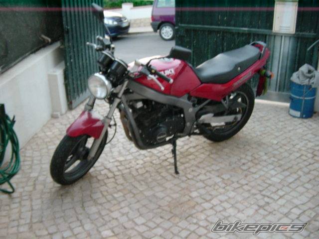 Photo 24460