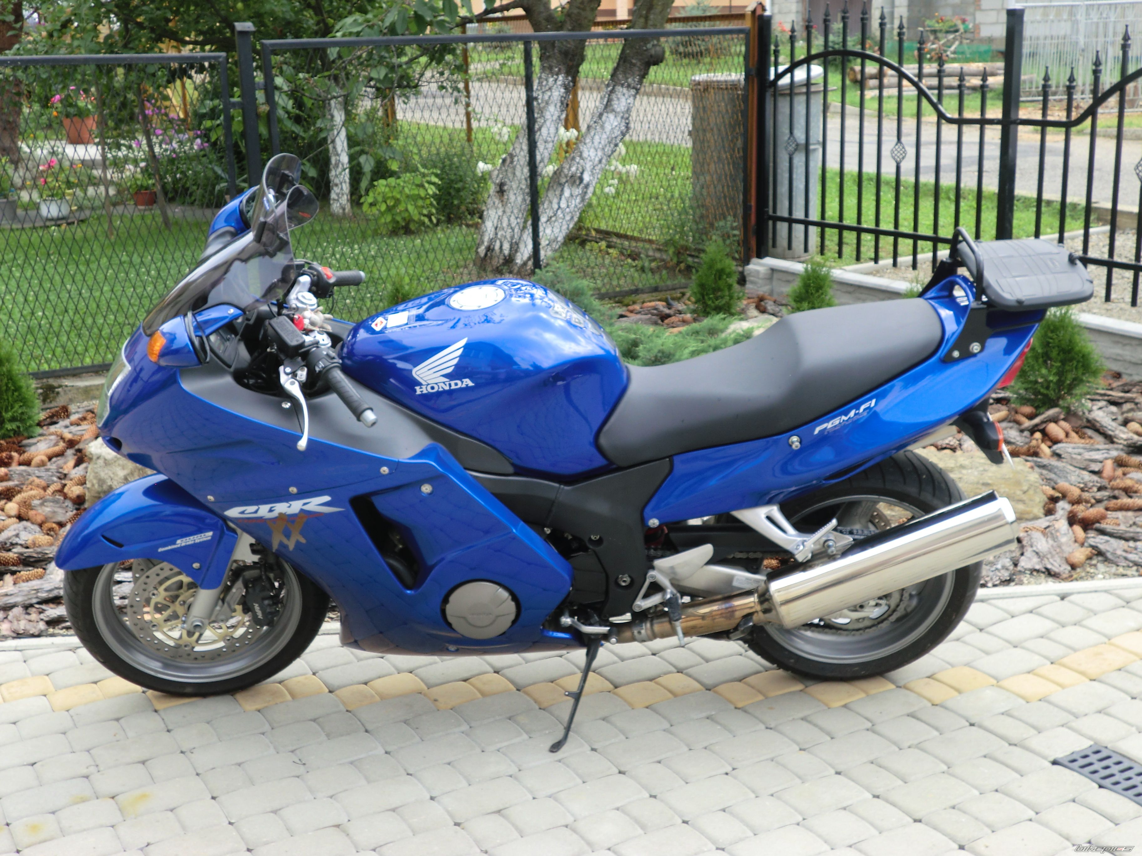 Photo 2446008