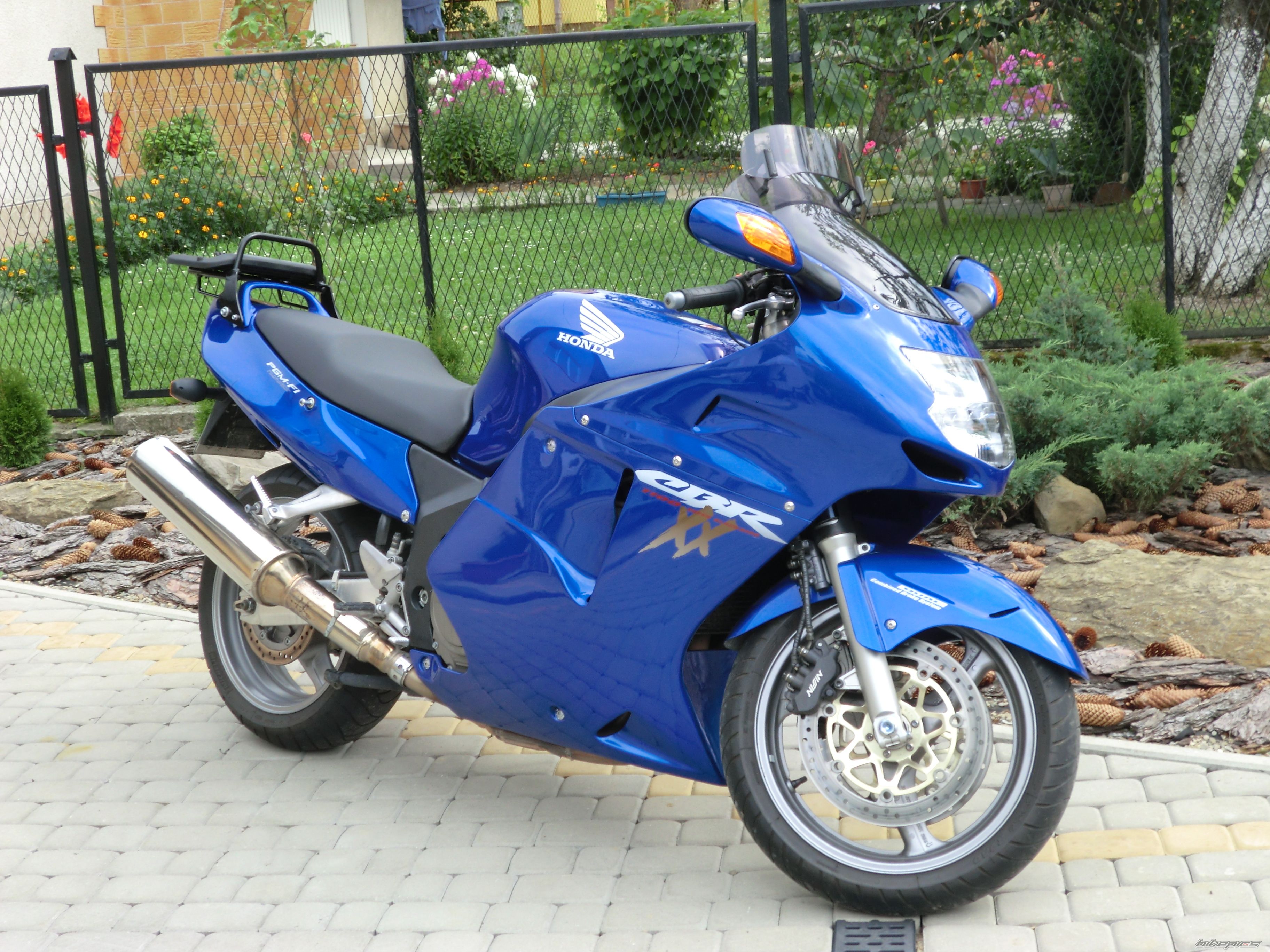 Photo 2446010