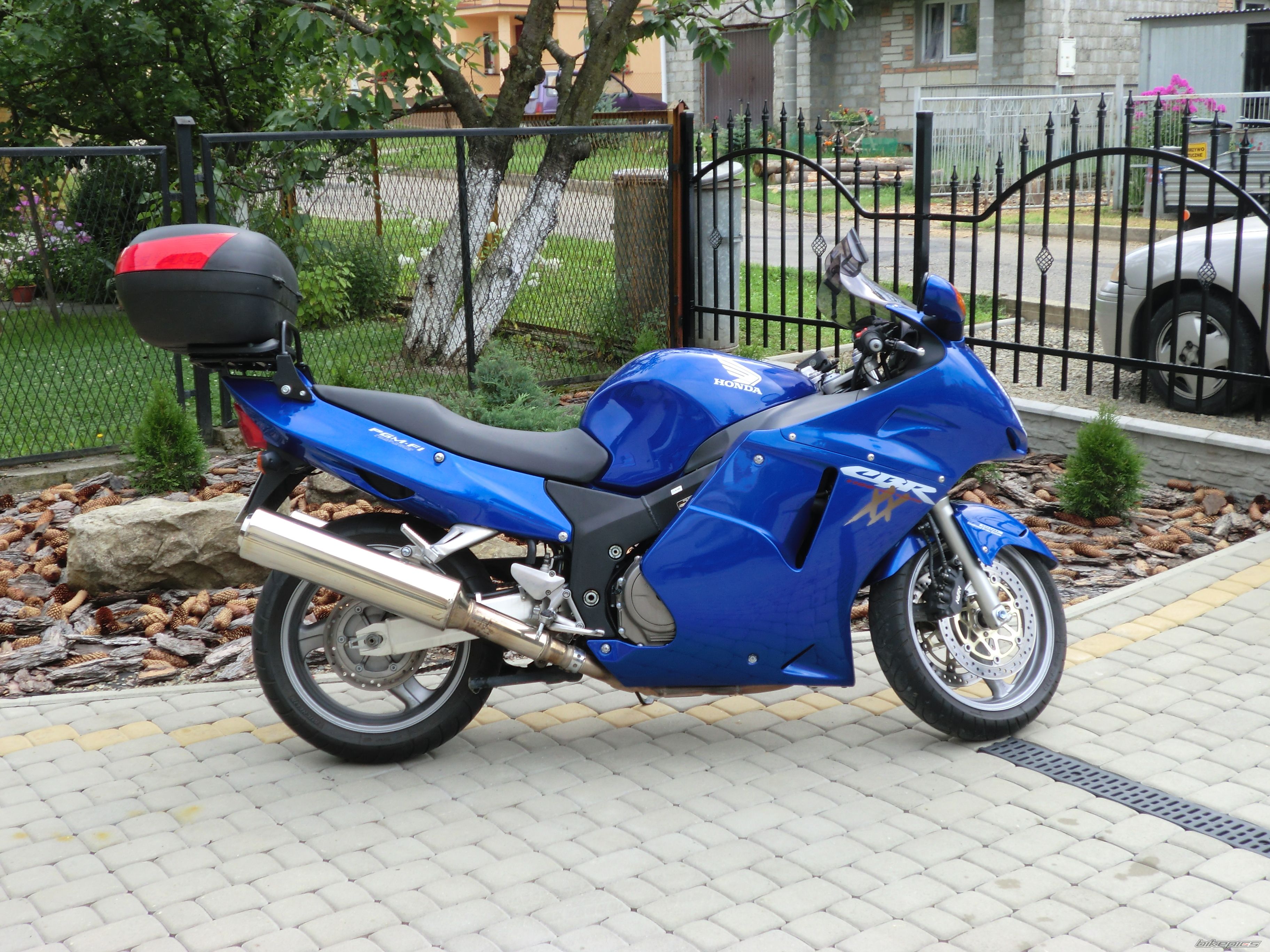 Photo 2446011