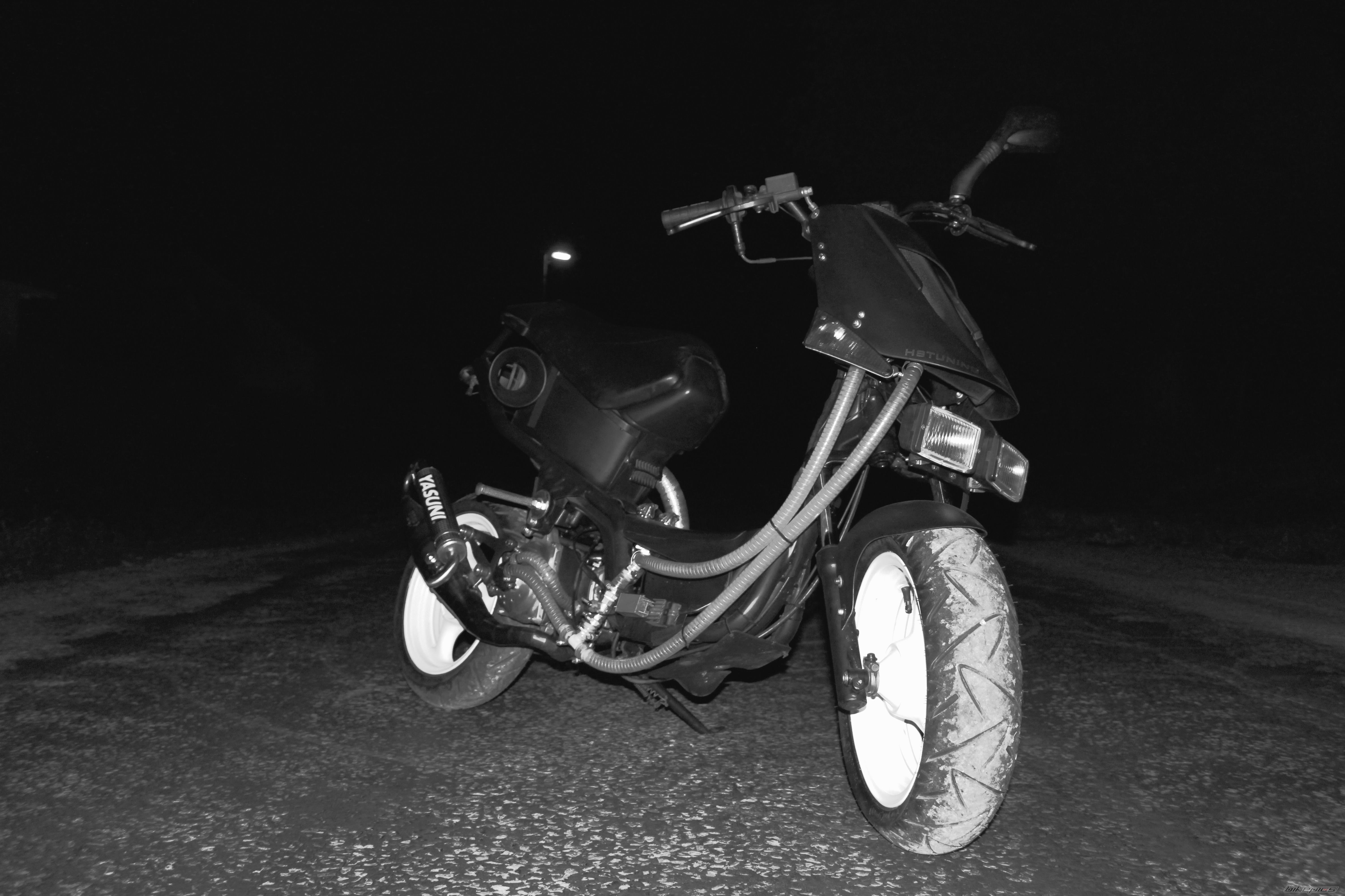 Photo 2446084