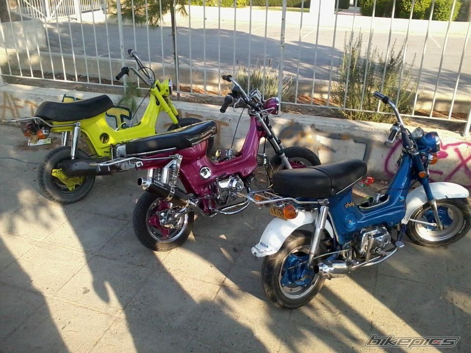 Photo 2446110