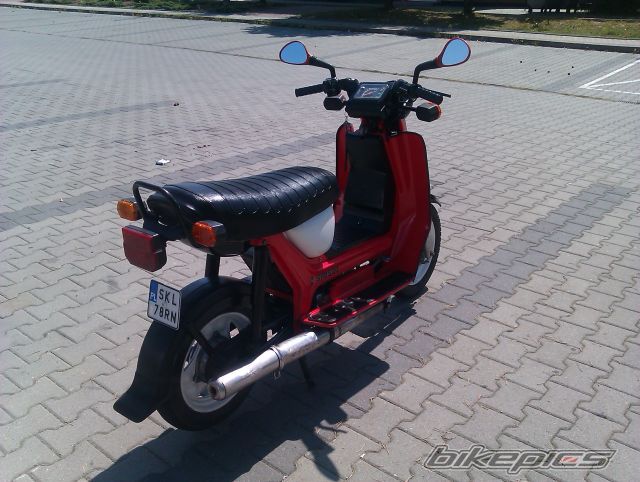Photo 2446153