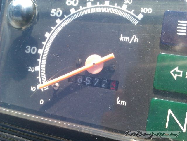 Photo 2446161