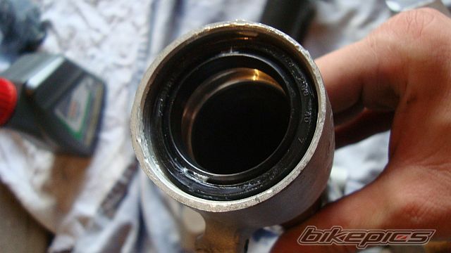 Photo 2446212