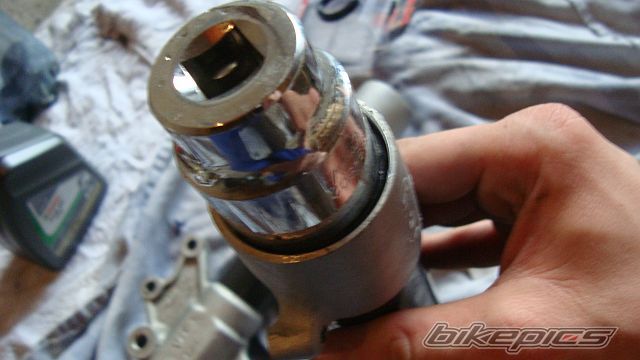 Photo 2446214
