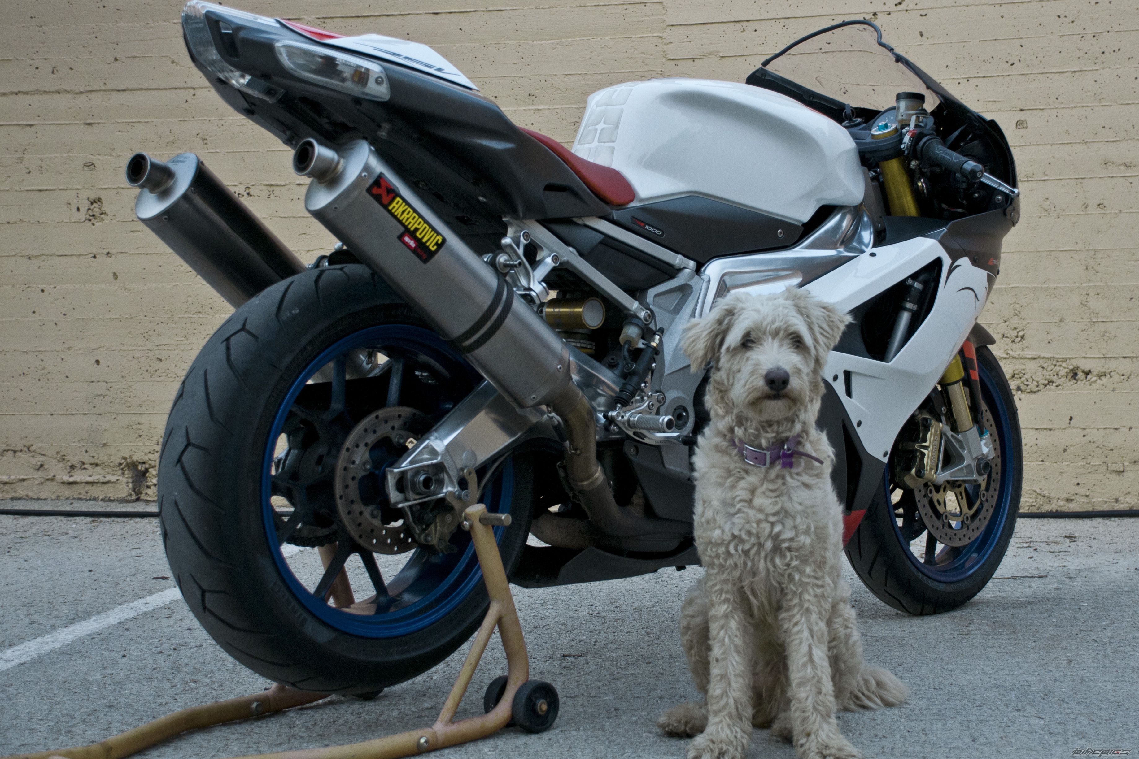 Bike Photo 2446226