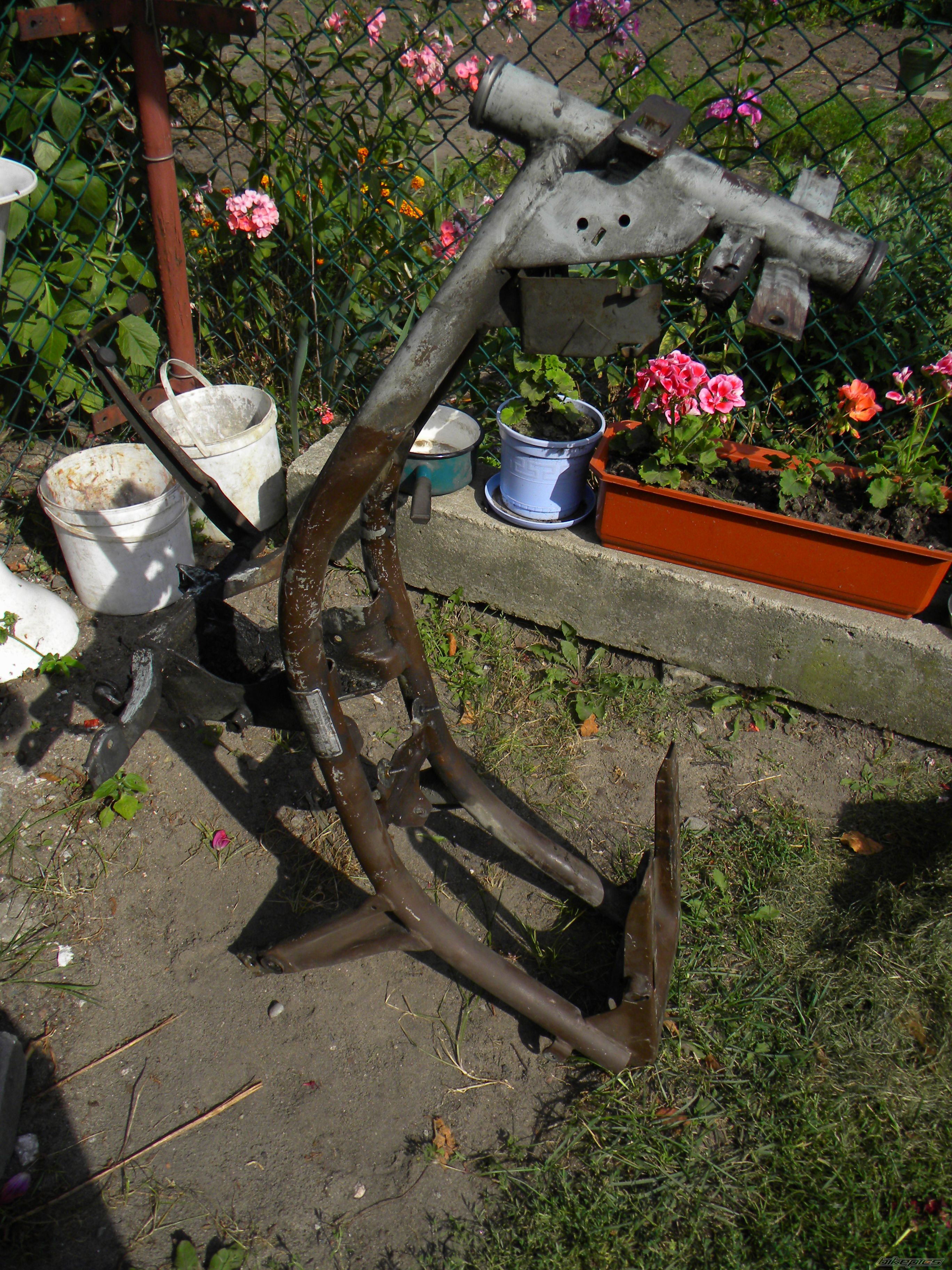 Photo 2446233