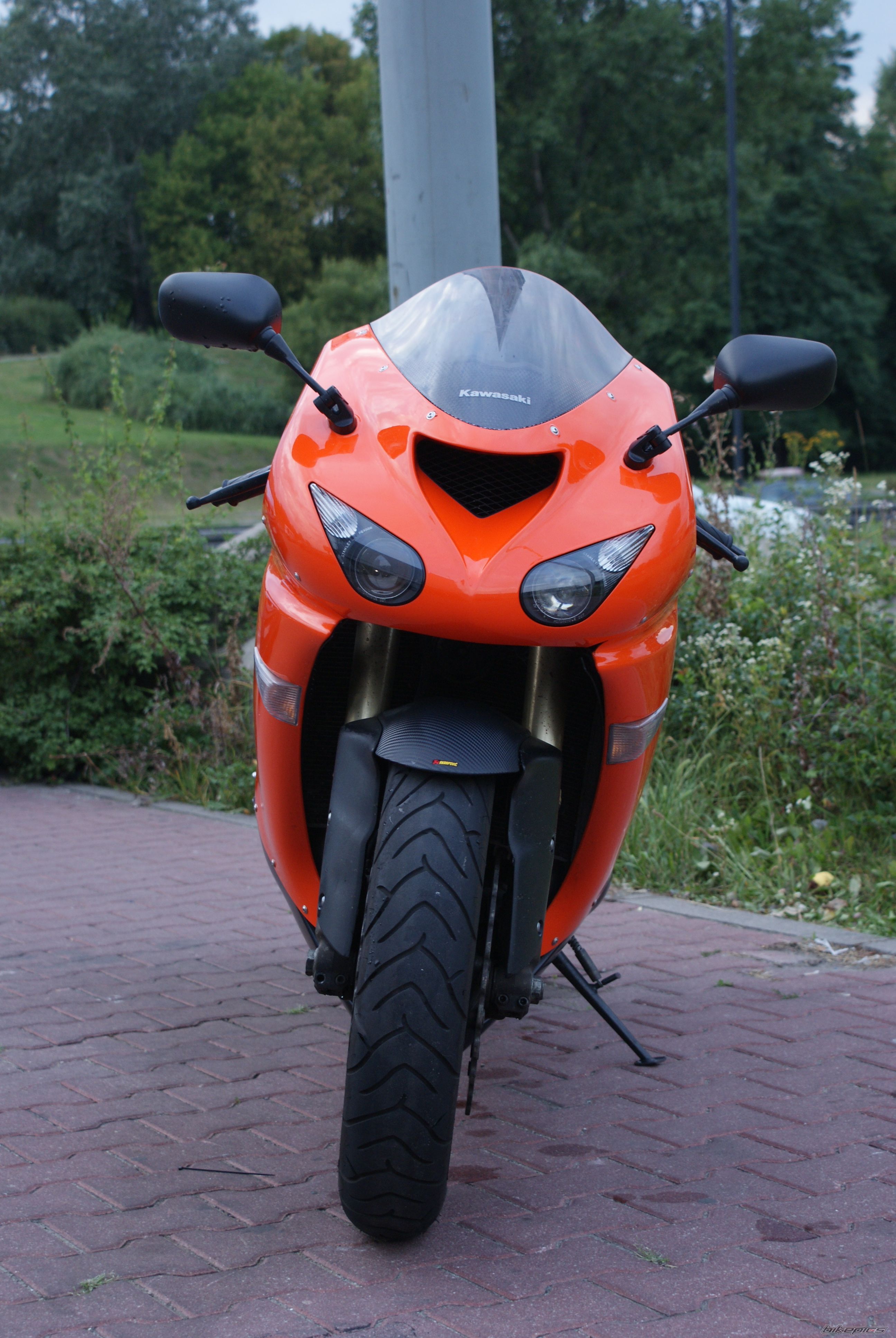 Photo 2446276