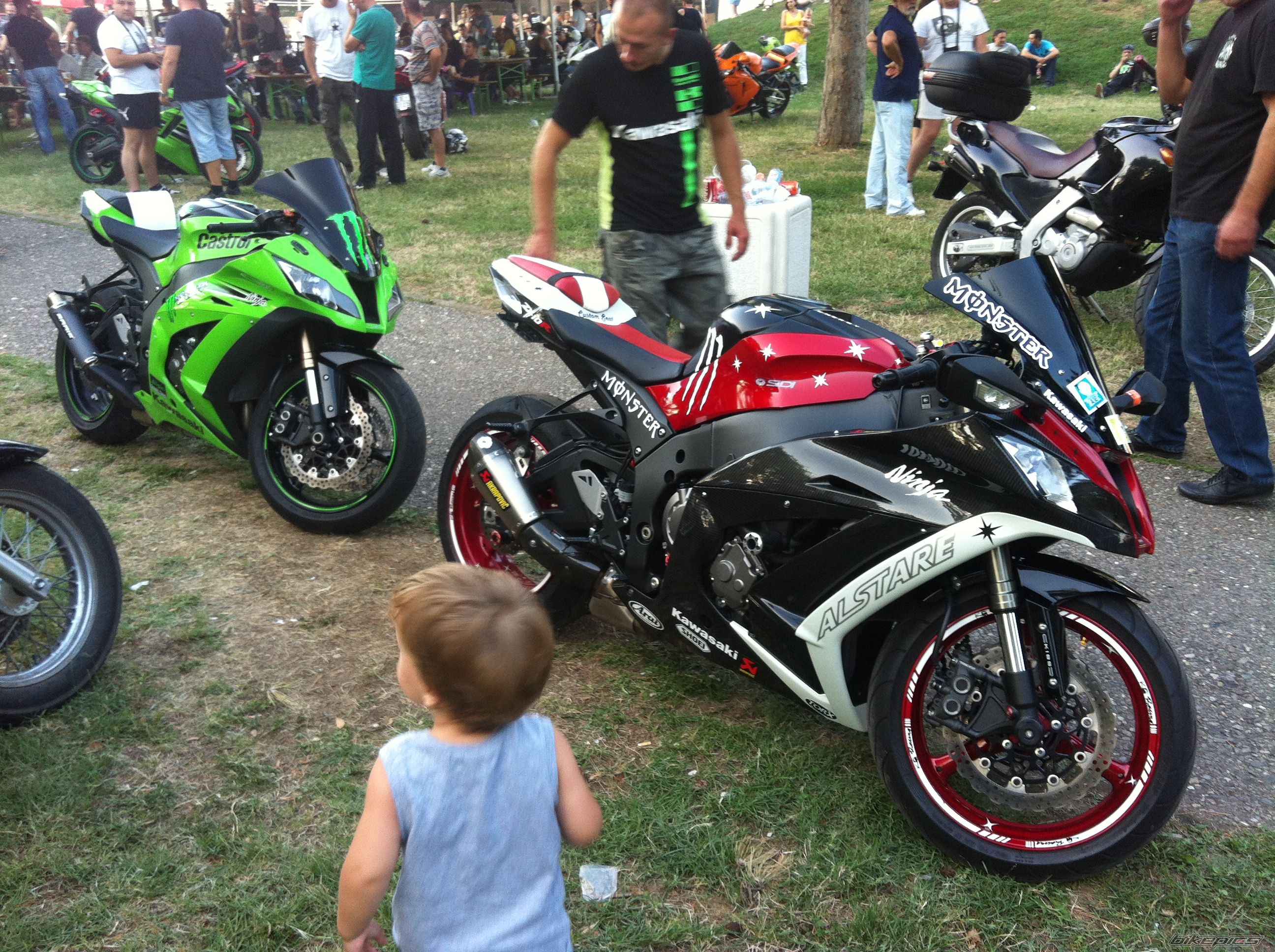 Photo 2446324