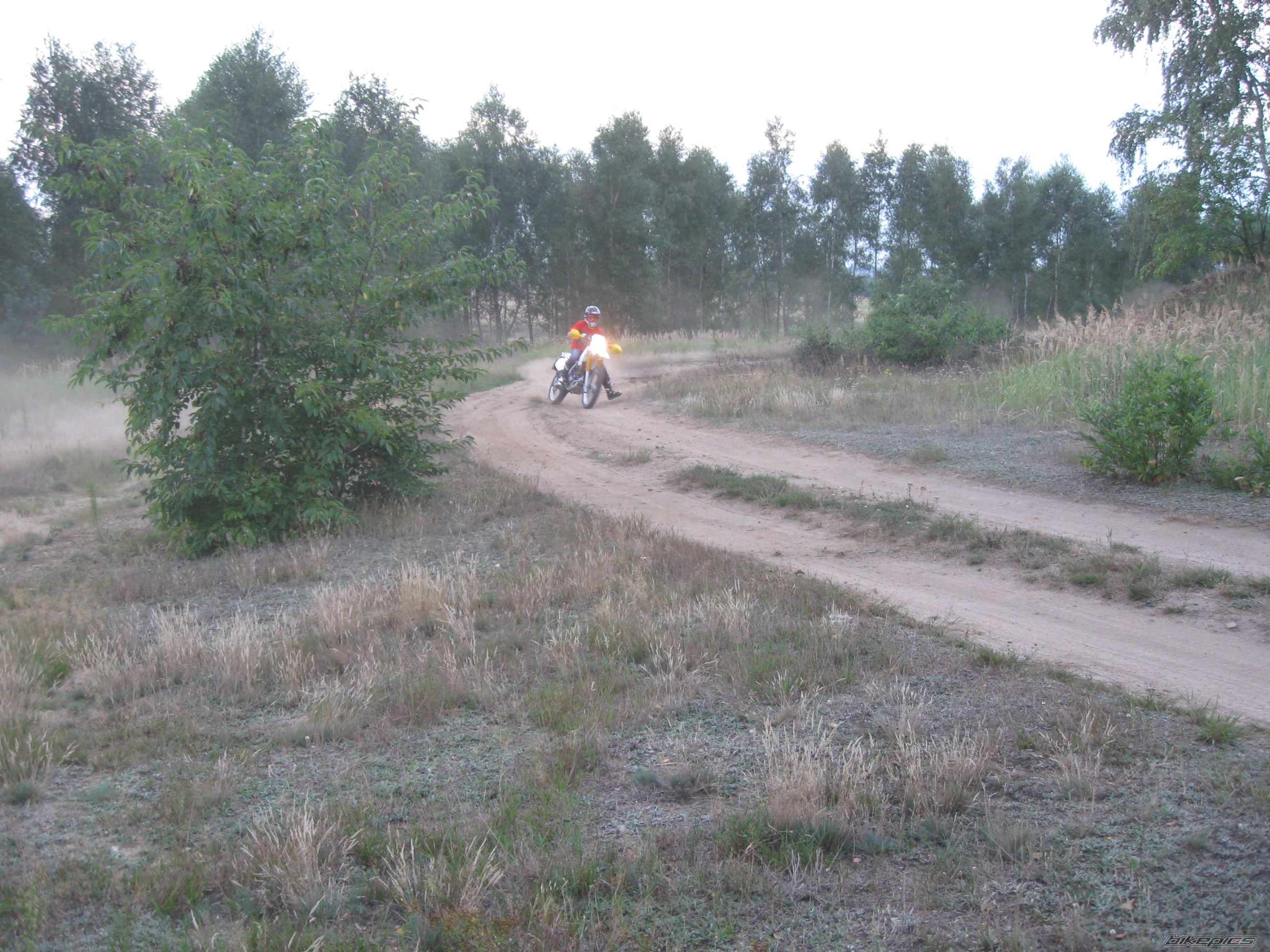 Photo 2446374