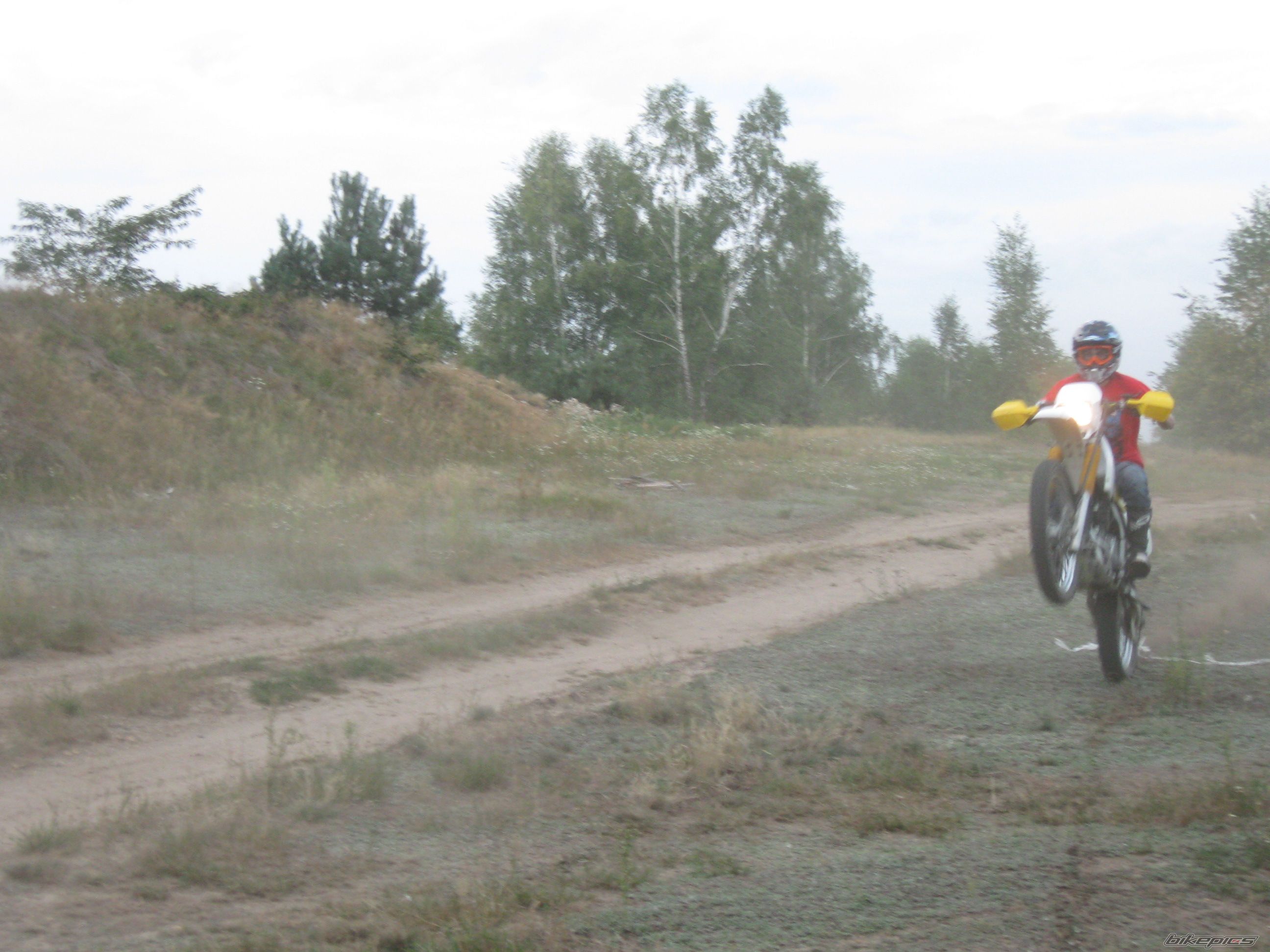 Photo 2446375