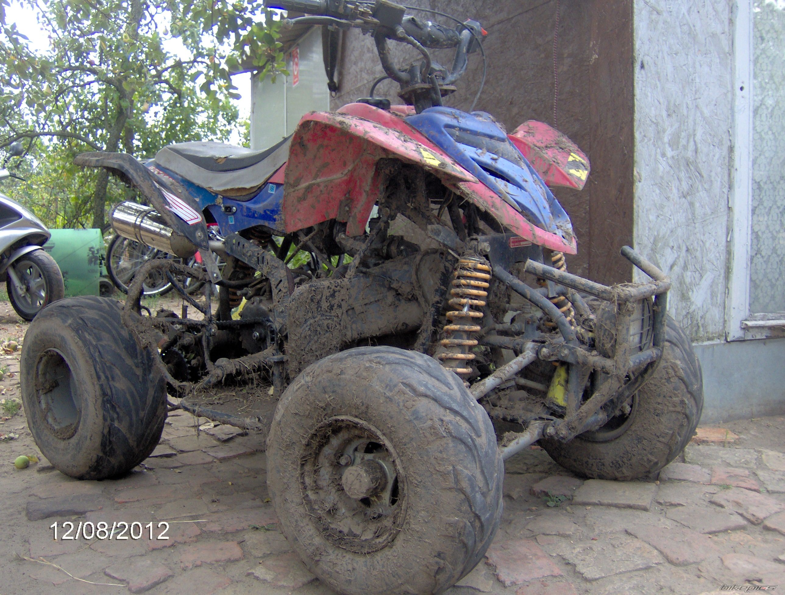 Bike Photo 2446390