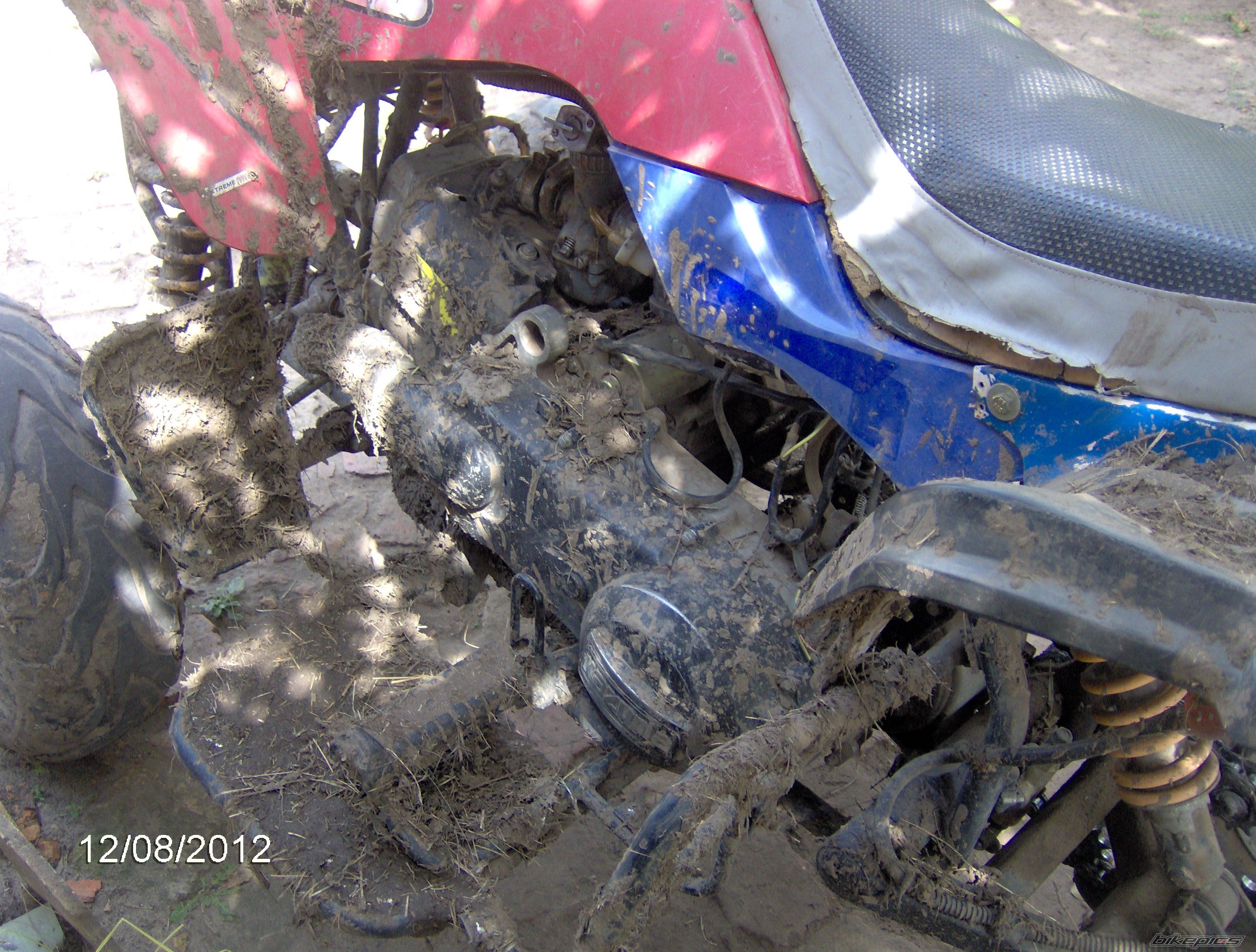 Bike Photo 2446394