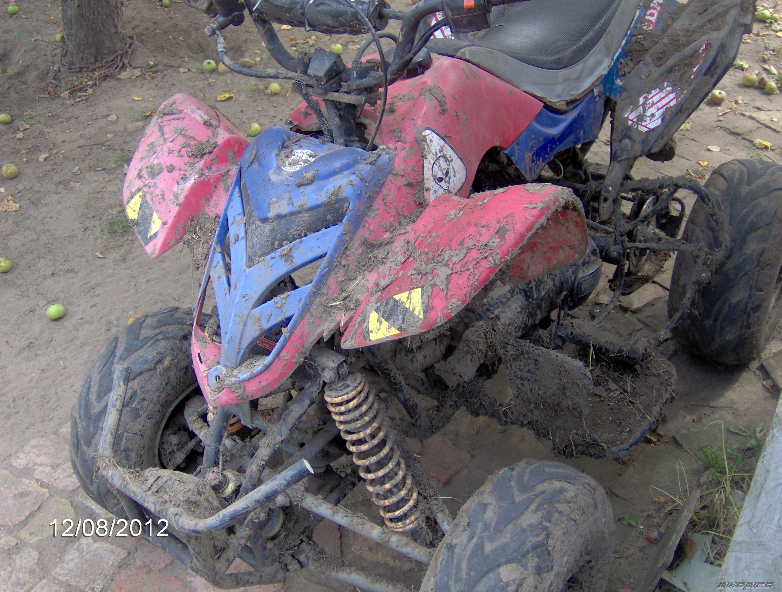 Bike Photo 2446396