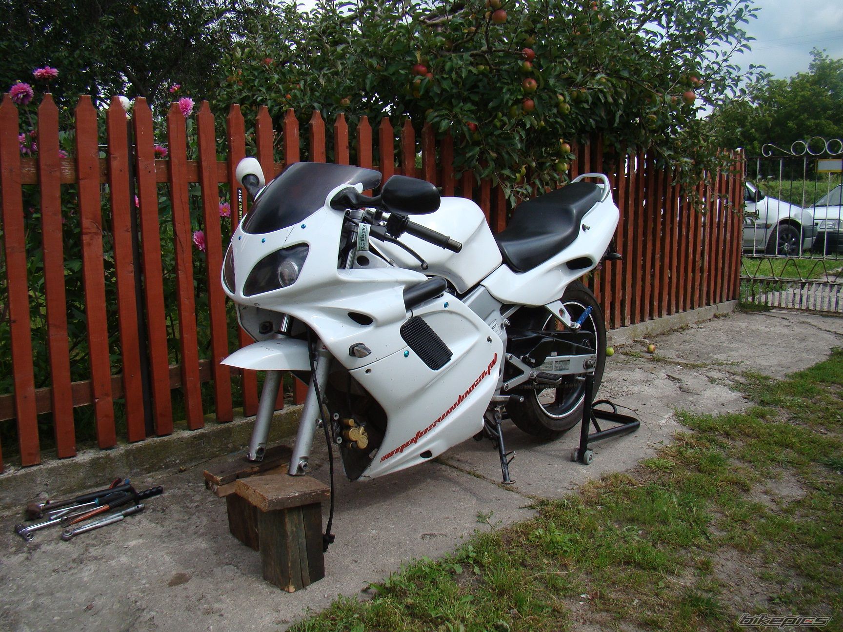 Photo 2446408